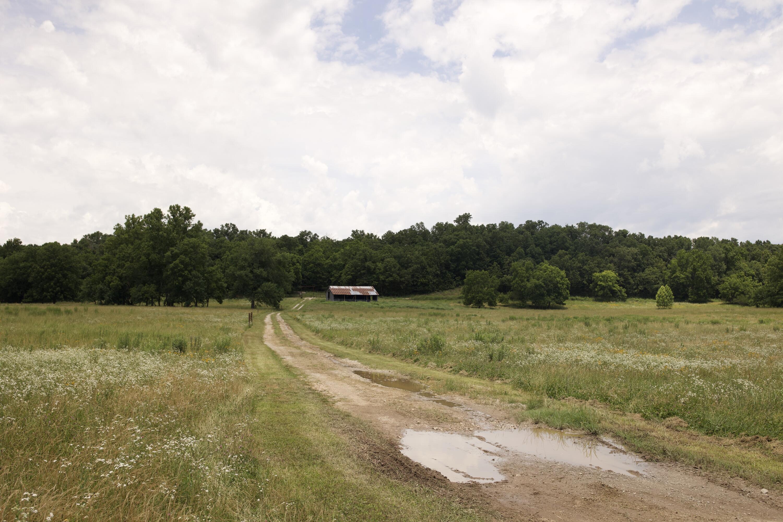 Photo 87 - Residential for sale – 540  Reindeer Road  Neosho, MO