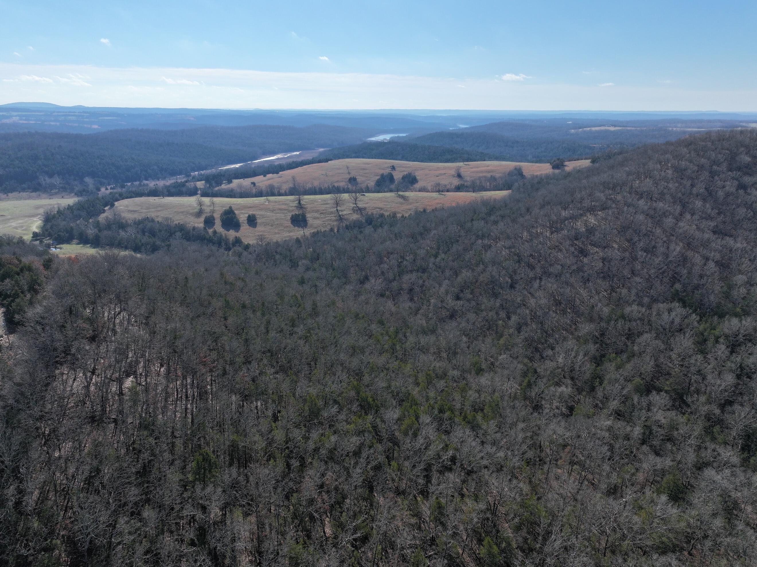 Photo 14 - Land for sale – 000  Us Hwy 160   Gainesville, MO