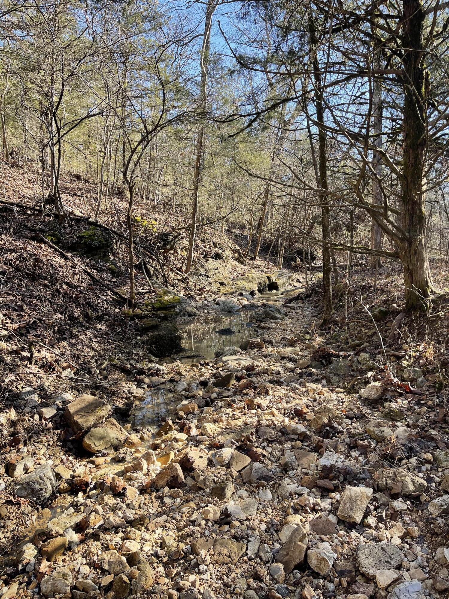 Photo 2 - Land for sale – 000  Us Hwy 160   Gainesville, MO