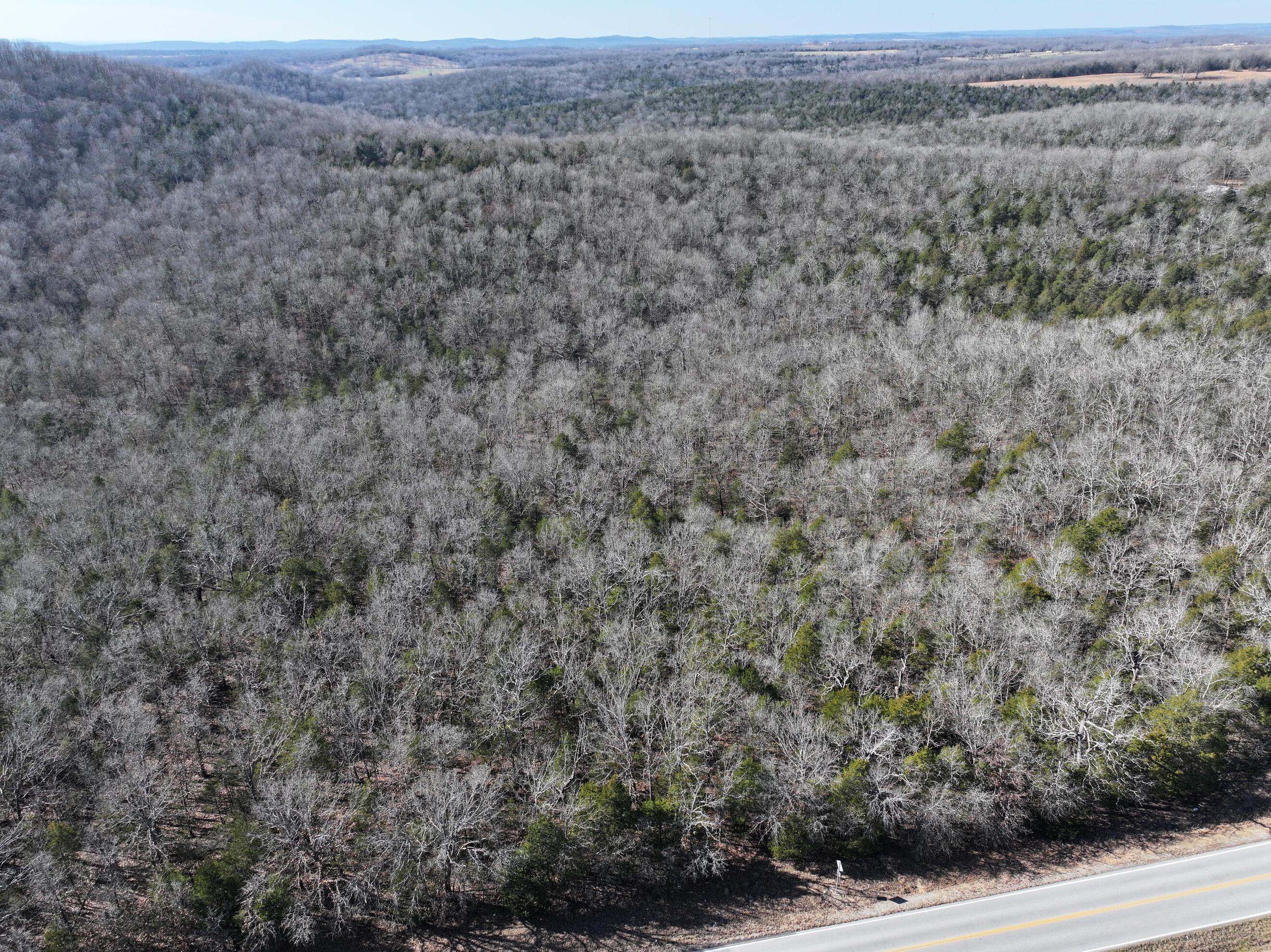 Photo 9 - Land for sale – 000  Us Hwy 160   Gainesville, MO
