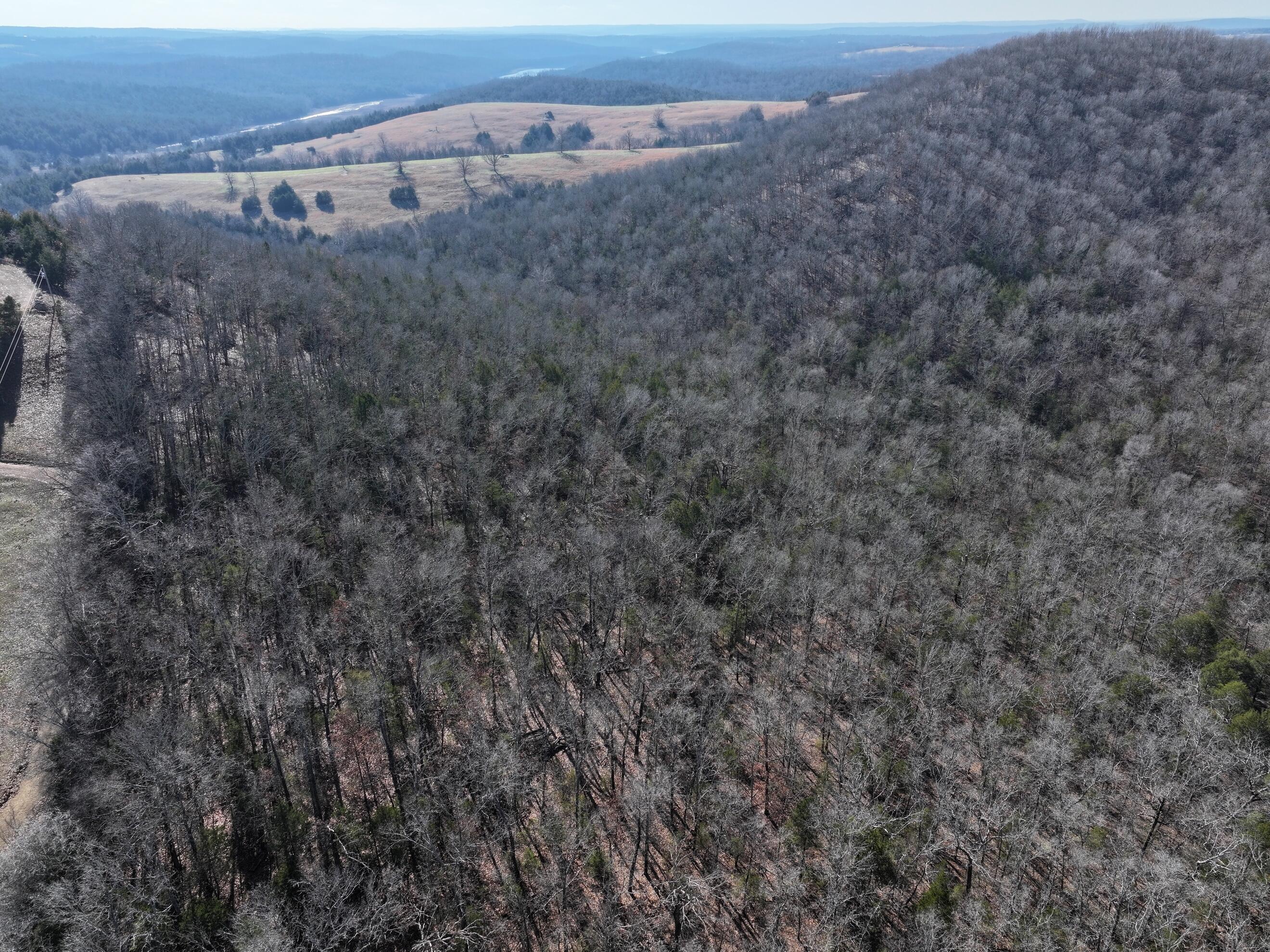 Photo 21 - Land for sale – 000  Us Hwy 160   Gainesville, MO