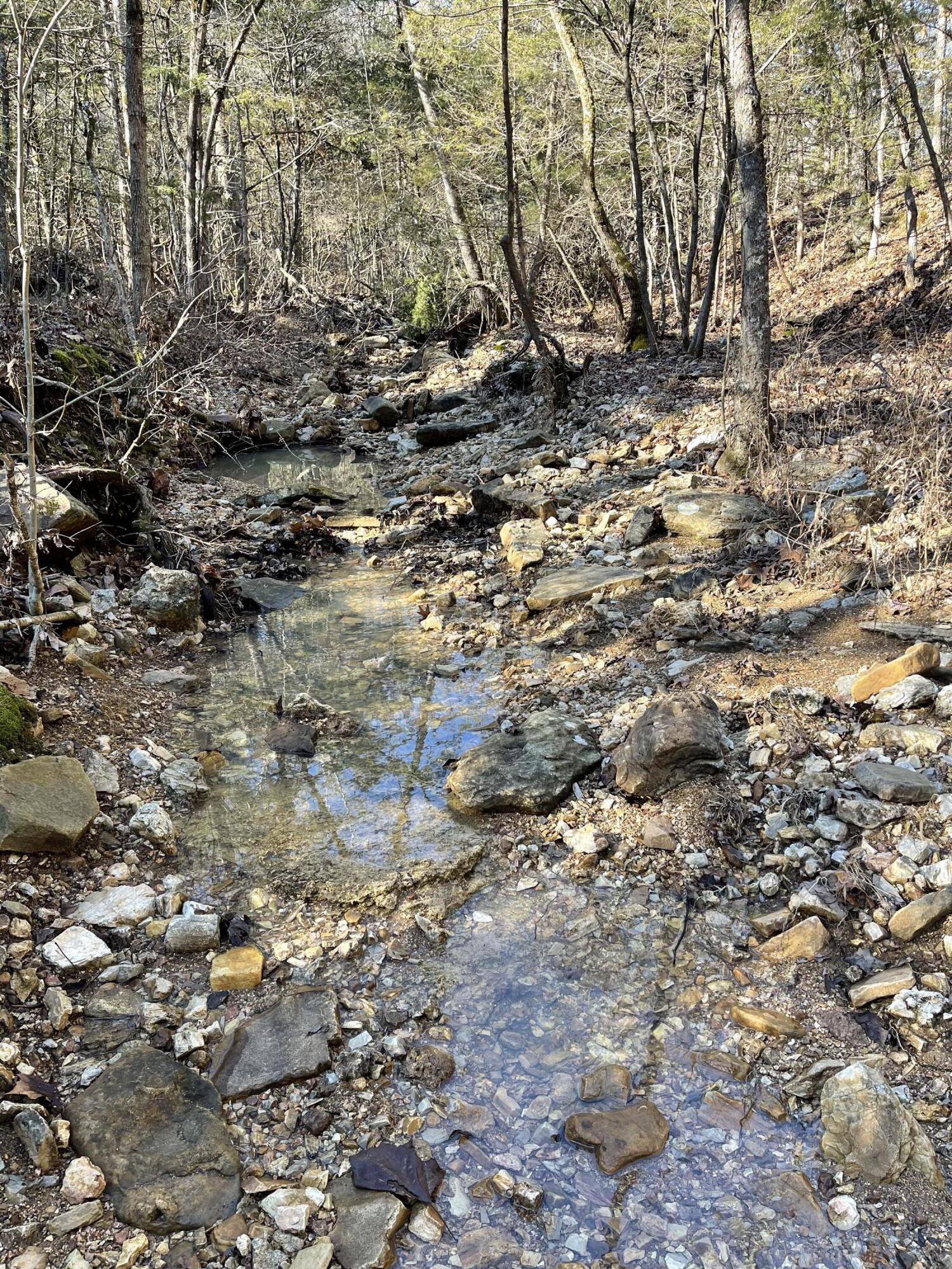 Photo 3 - Land for sale – 000  Us Hwy 160   Gainesville, MO