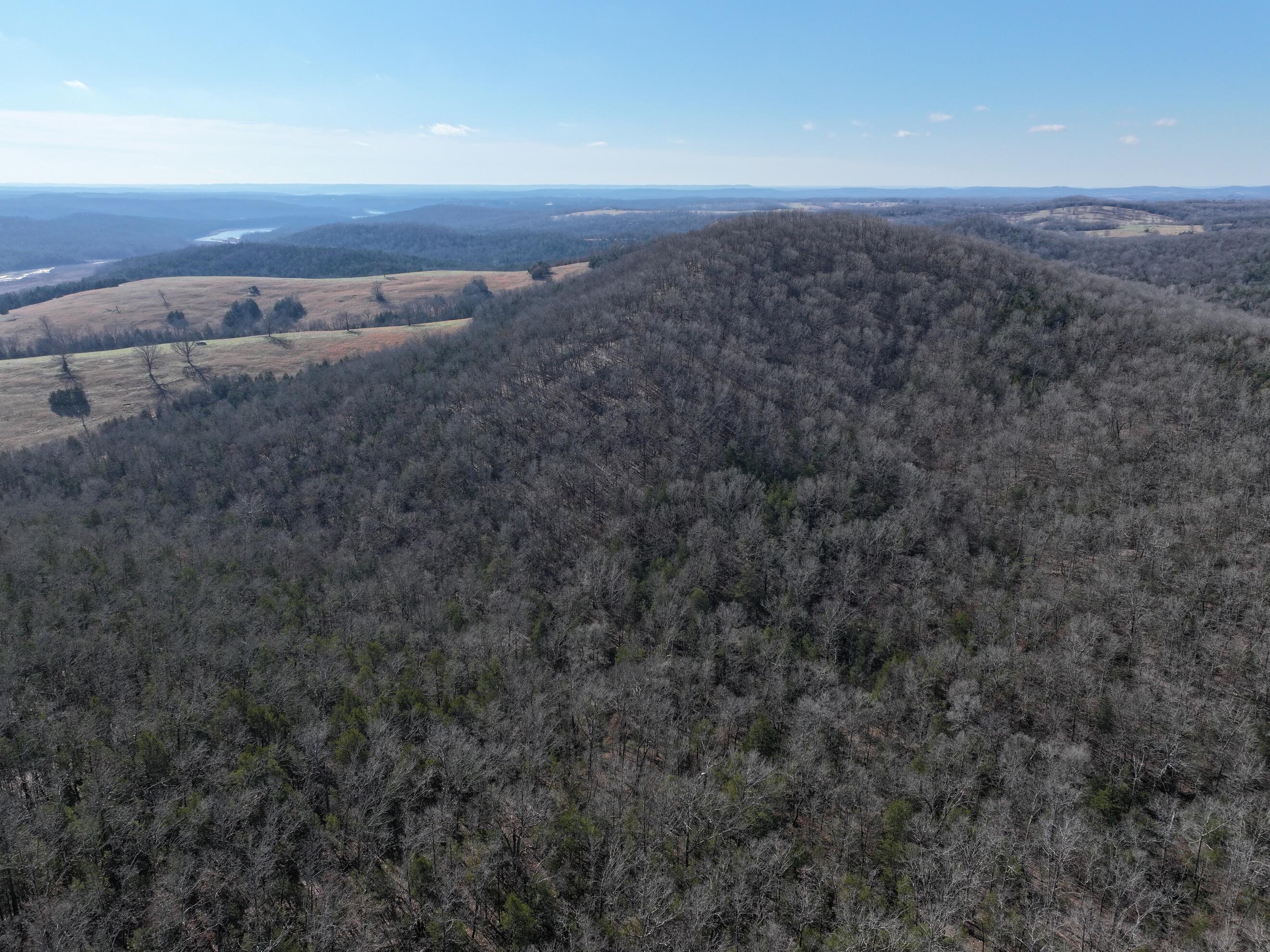 Photo 16 - Land for sale – 000  Us Hwy 160   Gainesville, MO