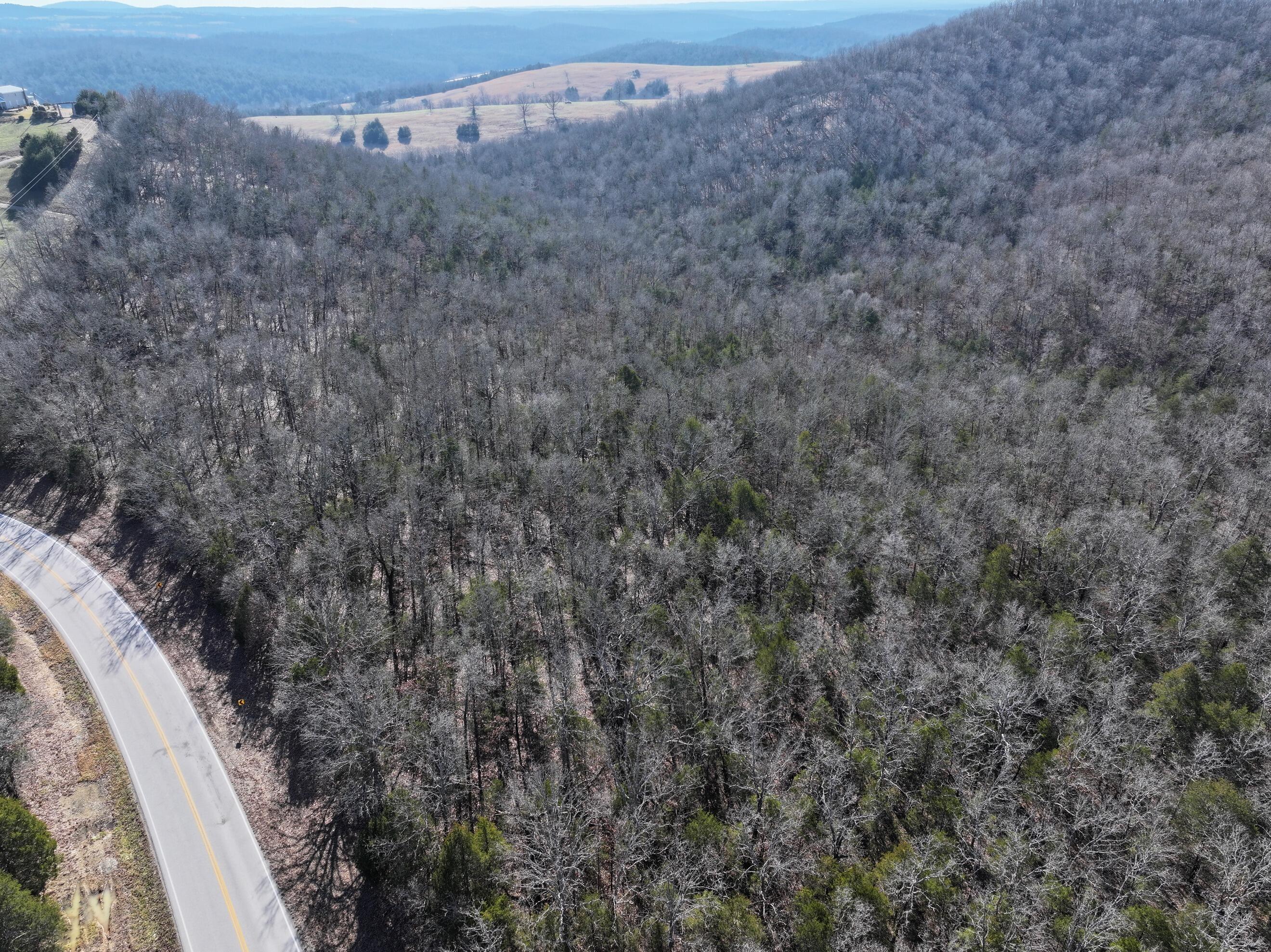 Photo 18 - Land for sale – 000  Us Hwy 160   Gainesville, MO