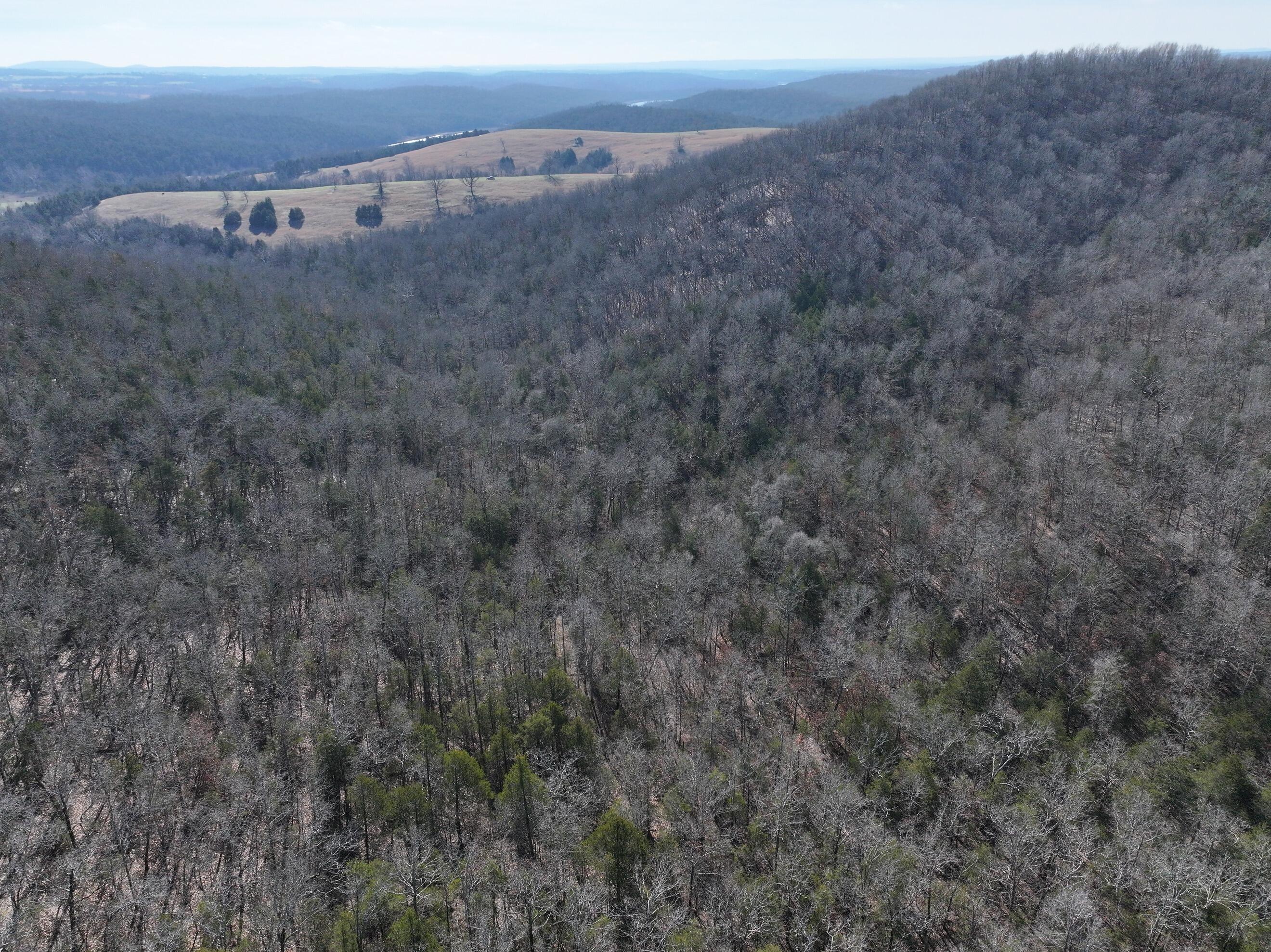 Photo 10 - Land for sale – 000  Us Hwy 160   Gainesville, MO