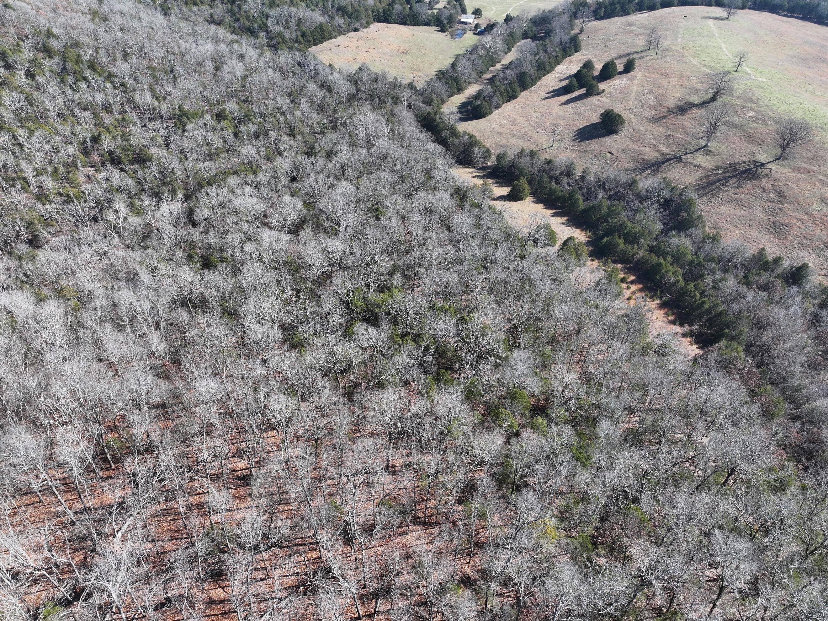 Photo 11 - Land for sale – 000  Us Hwy 160   Gainesville, MO