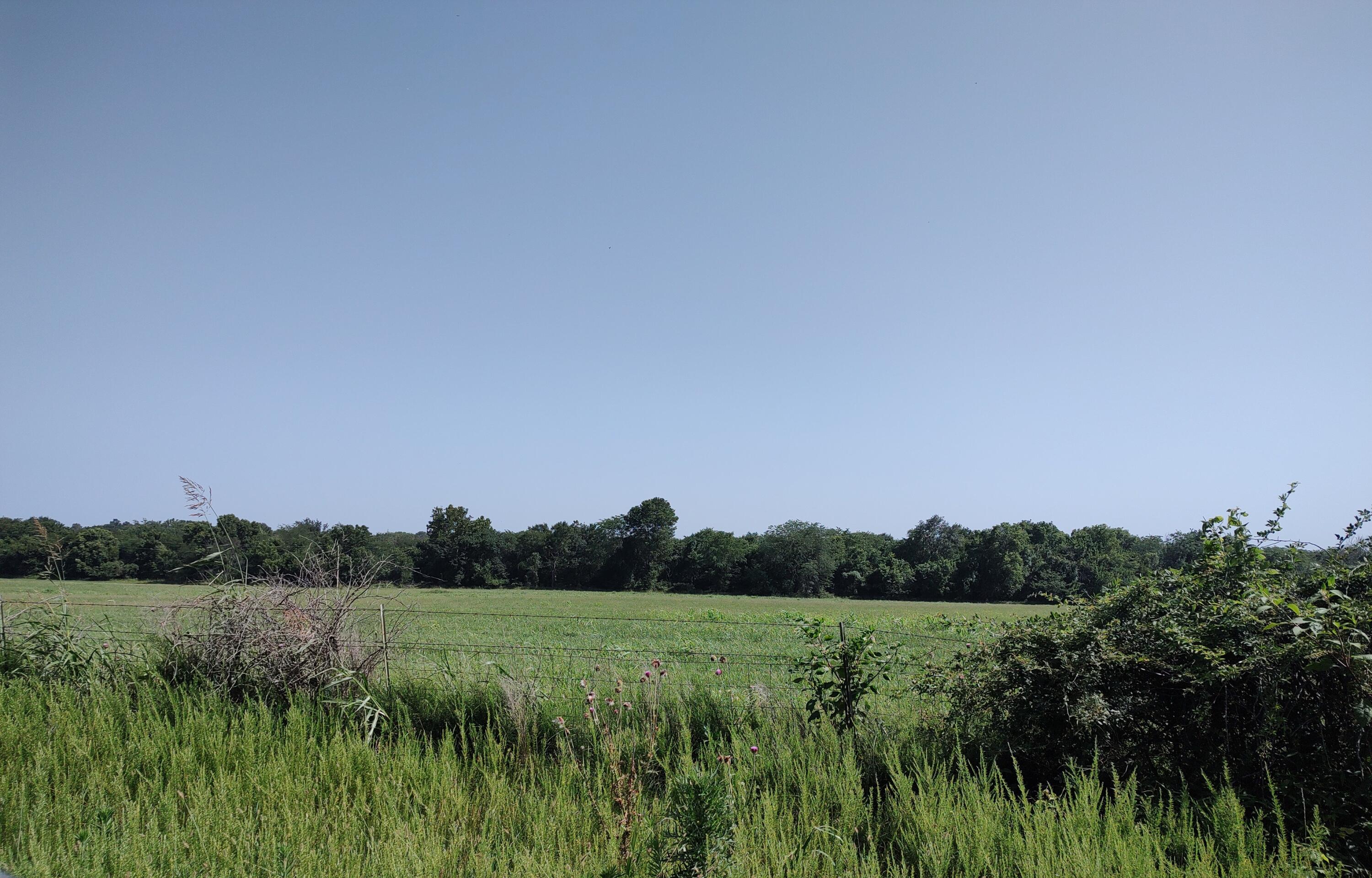 Photo 9 - Land for sale – 000 E Prairie Lane  Bolivar, MO