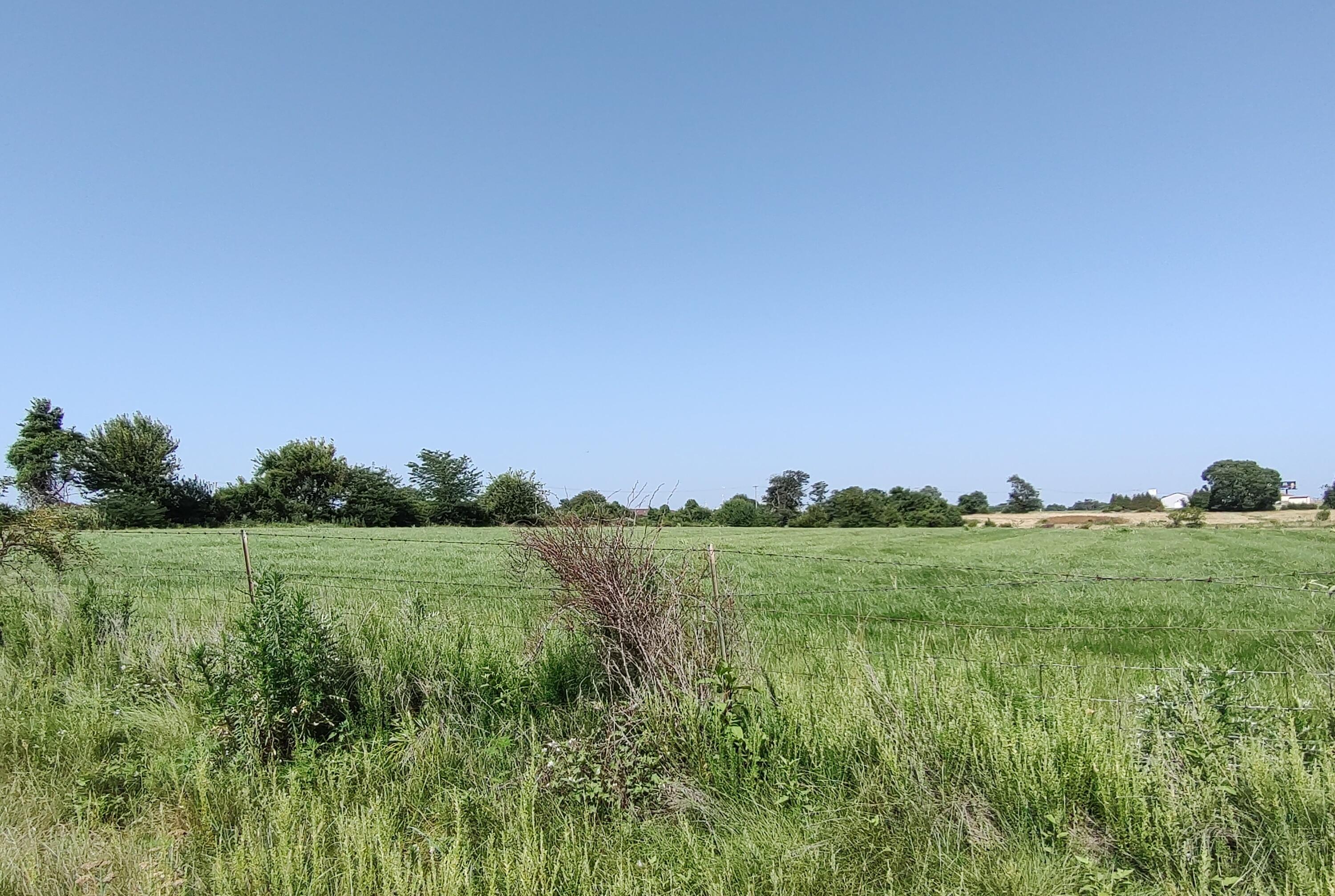 Photo 6 - Land for sale – 000 E Prairie Lane  Bolivar, MO