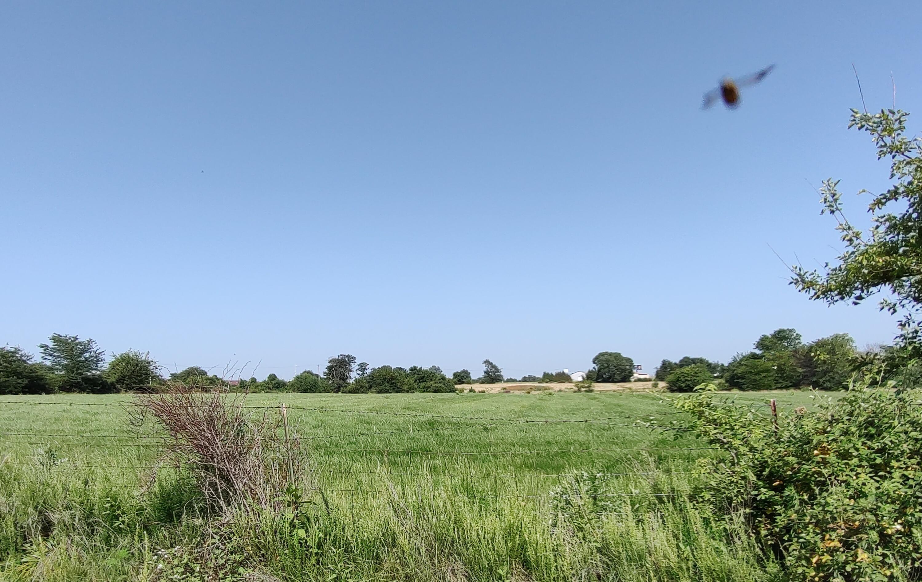 Photo 7 - Land for sale – 000 E Prairie Lane  Bolivar, MO