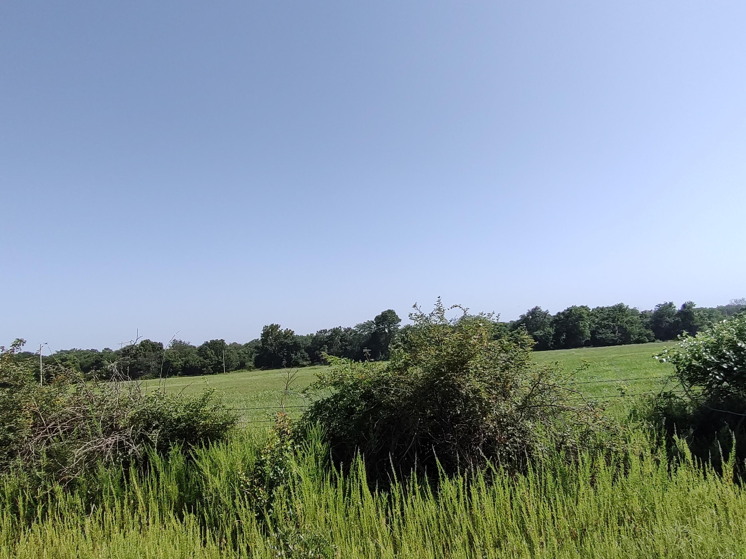 Photo 8 - Land for sale – 000 E Prairie Lane  Bolivar, MO