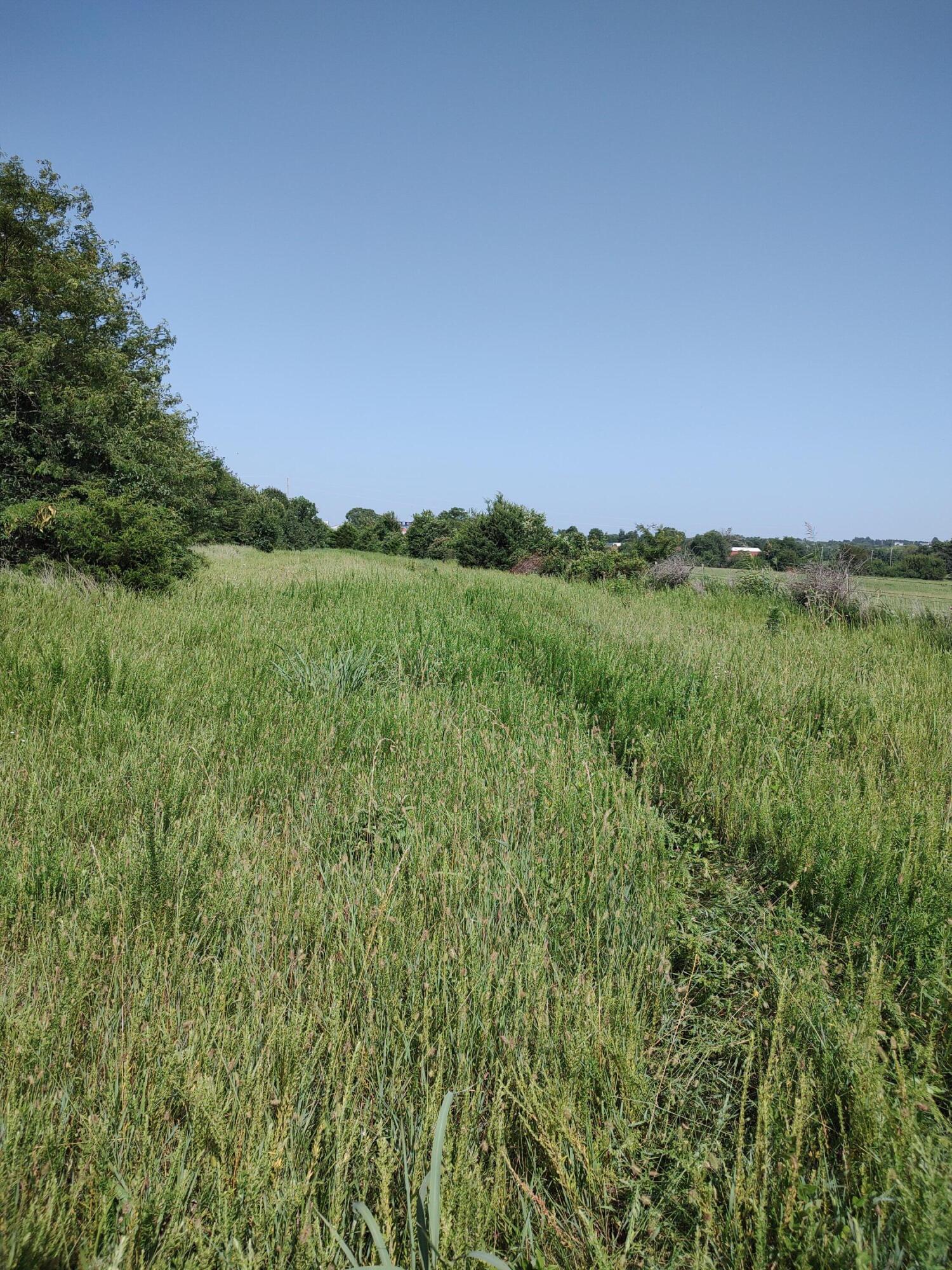 Photo 11 - Land for sale – 000 E Prairie Lane  Bolivar, MO