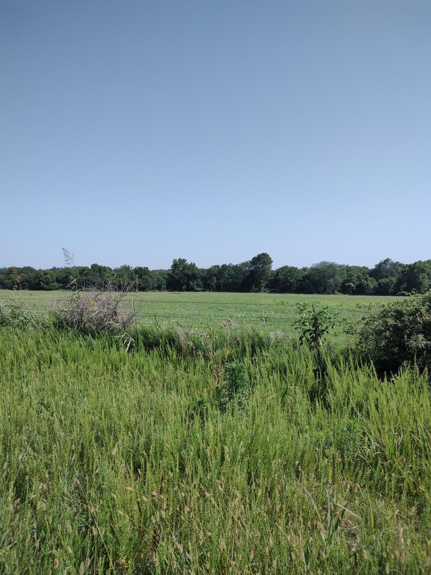 Photo 10 - Land for sale – 000 E Prairie Lane  Bolivar, MO