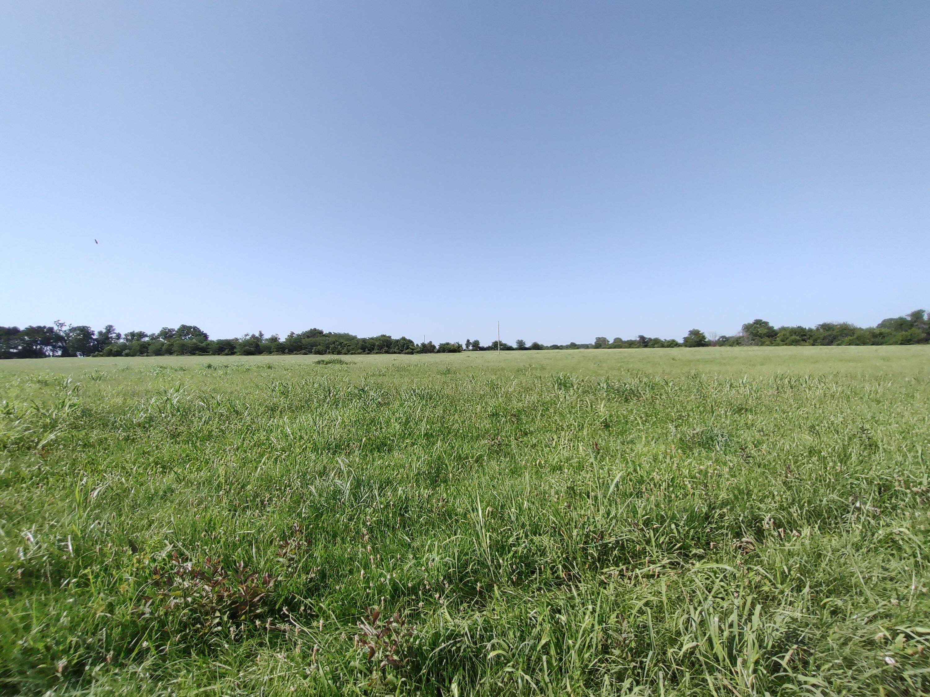 Photo 2 - Land for sale – 000 E Prairie Lane  Bolivar, MO