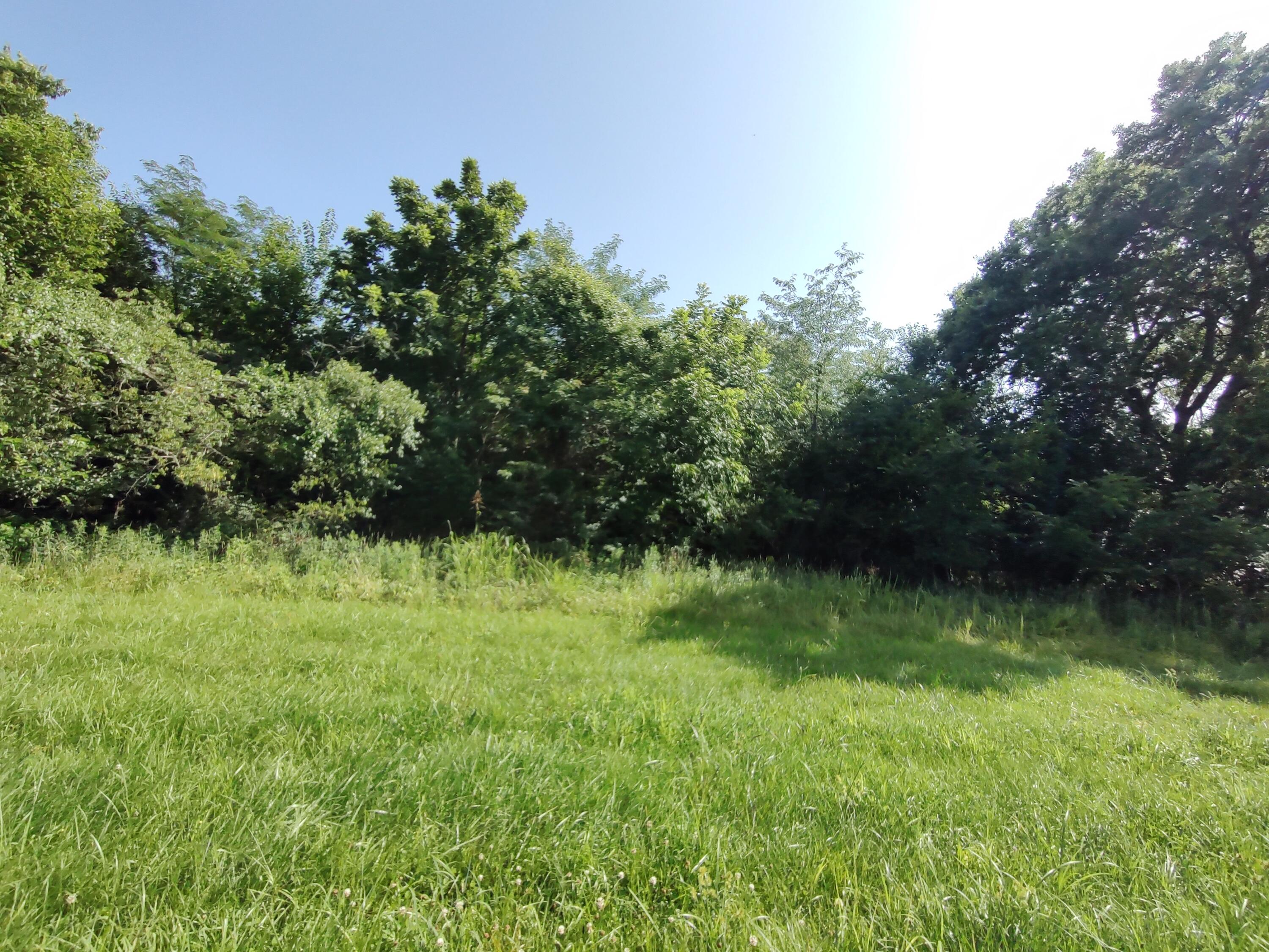 Photo 12 - Land for sale – 000 E Prairie Lane  Bolivar, MO