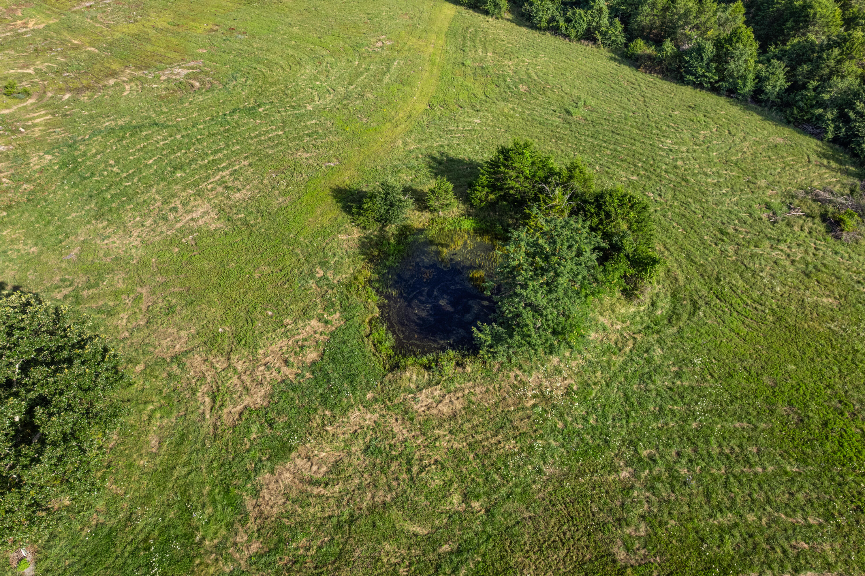 Photo 9 - Land for sale – 550  County Road 900   Theodosia, MO