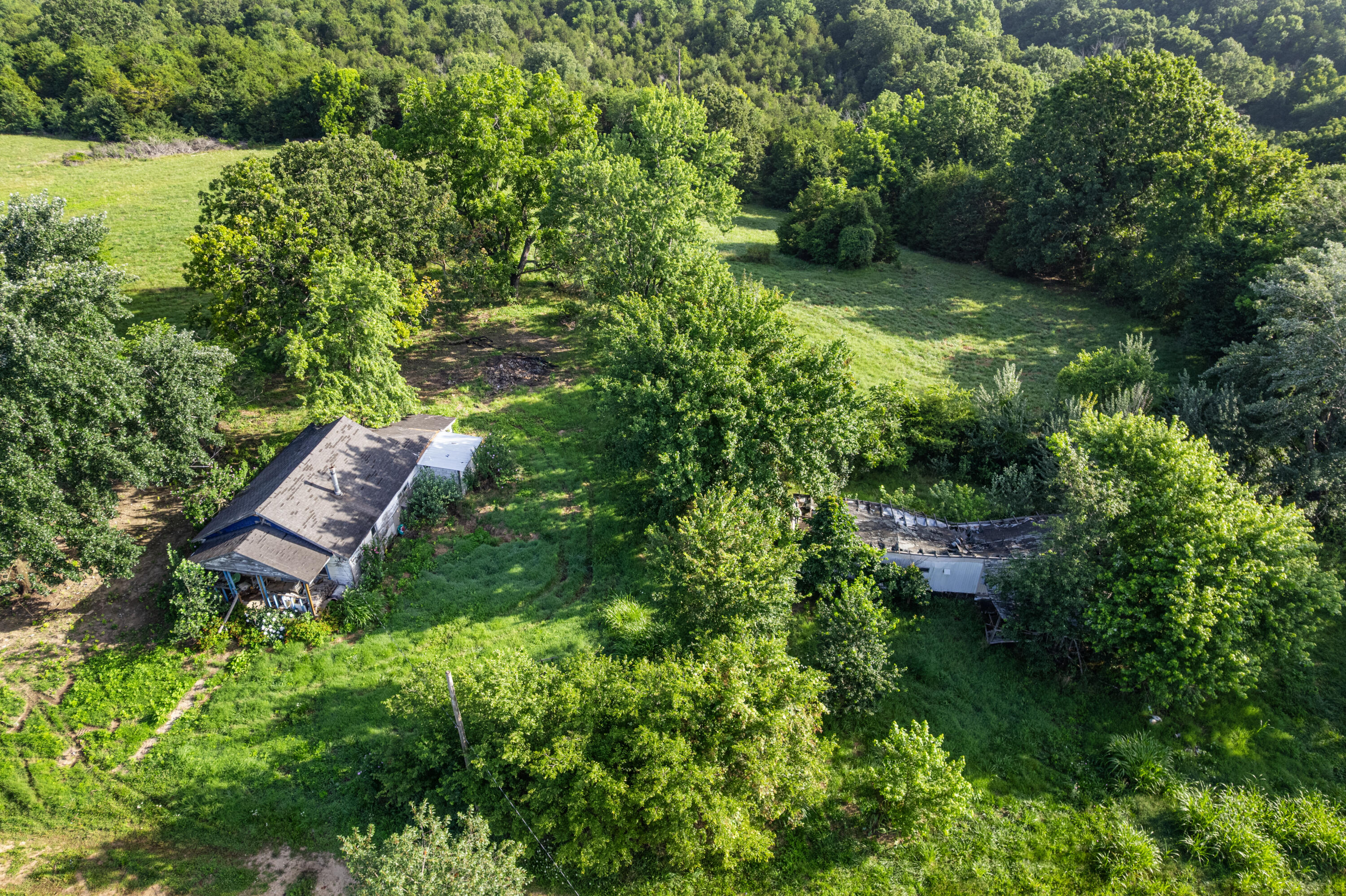 Photo 8 - Land for sale – 550  County Road 900   Theodosia, MO