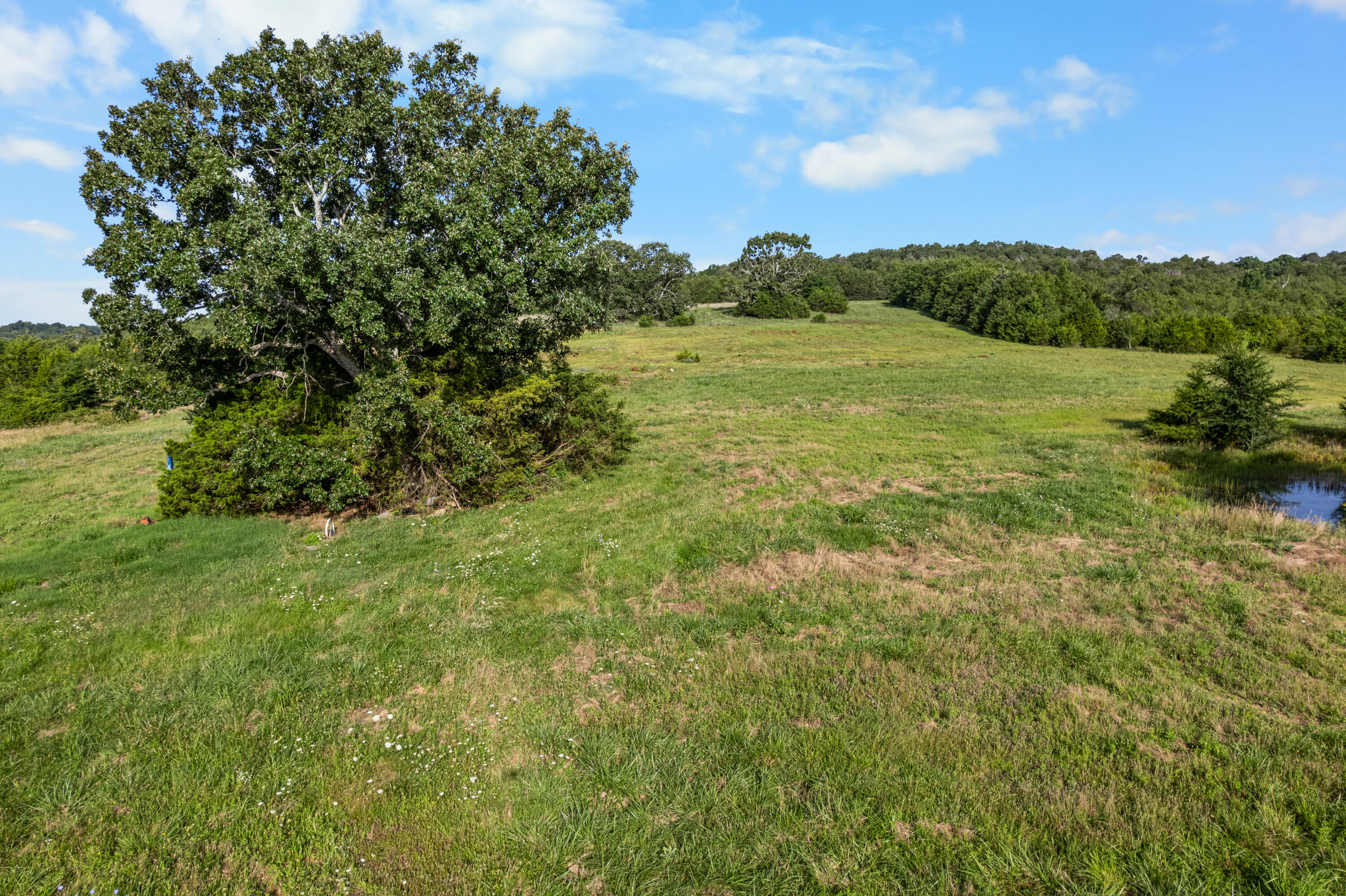Photo 10 - Land for sale – 550  County Road 900   Theodosia, MO