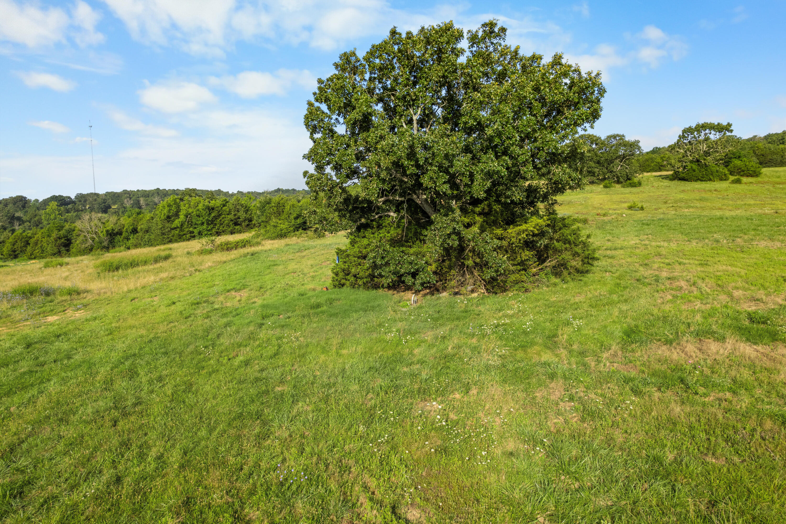 Photo 3 - Land for sale – 550  County Road 900   Theodosia, MO