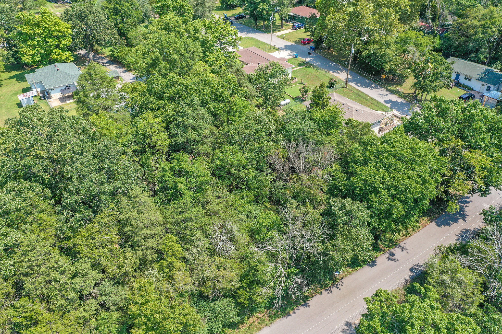 Photo 5 - Land for sale – 000  Kays Lane  Hollister, MO