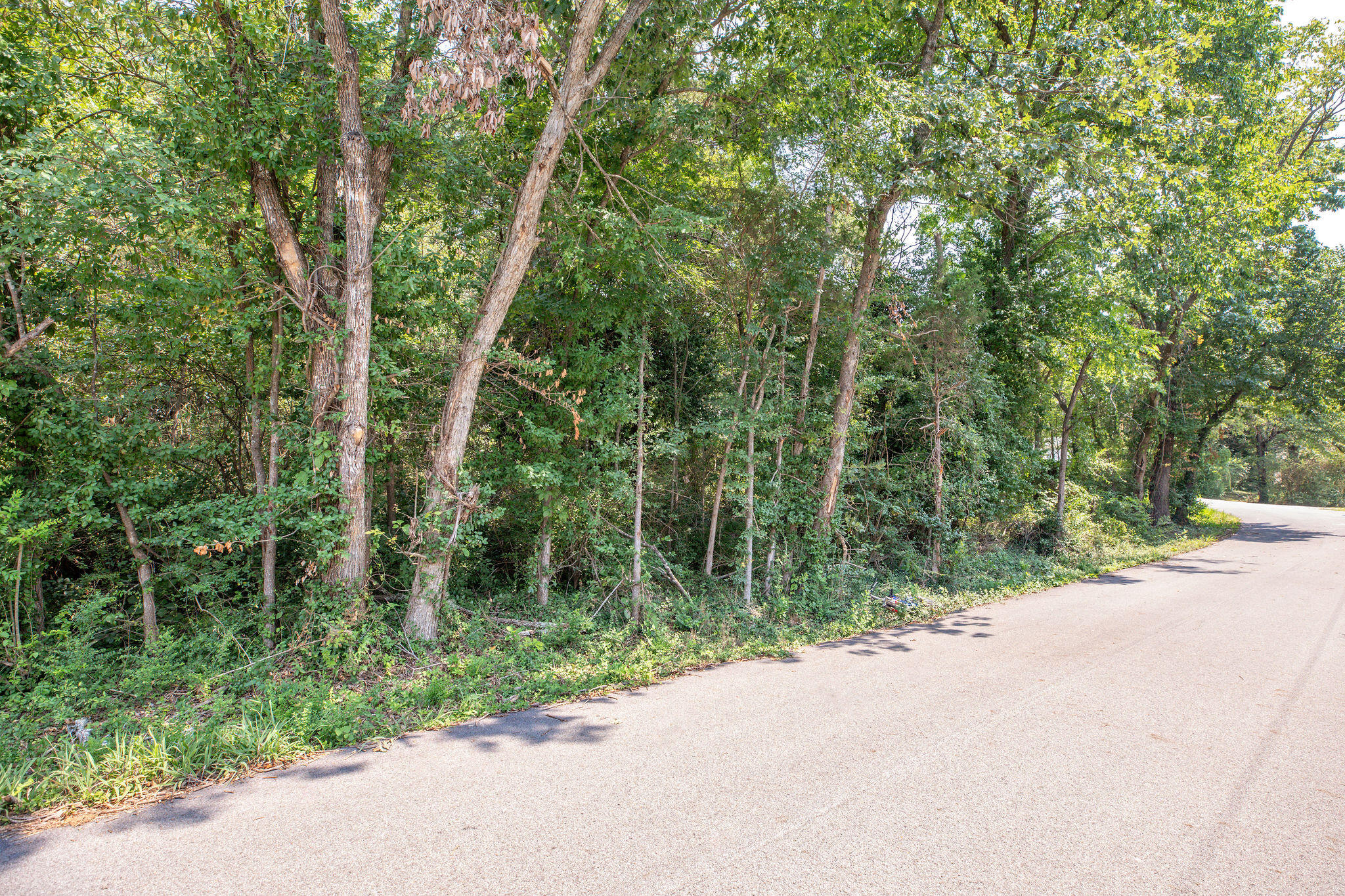 Land for sale – 000  Kays Lane  Hollister, MO