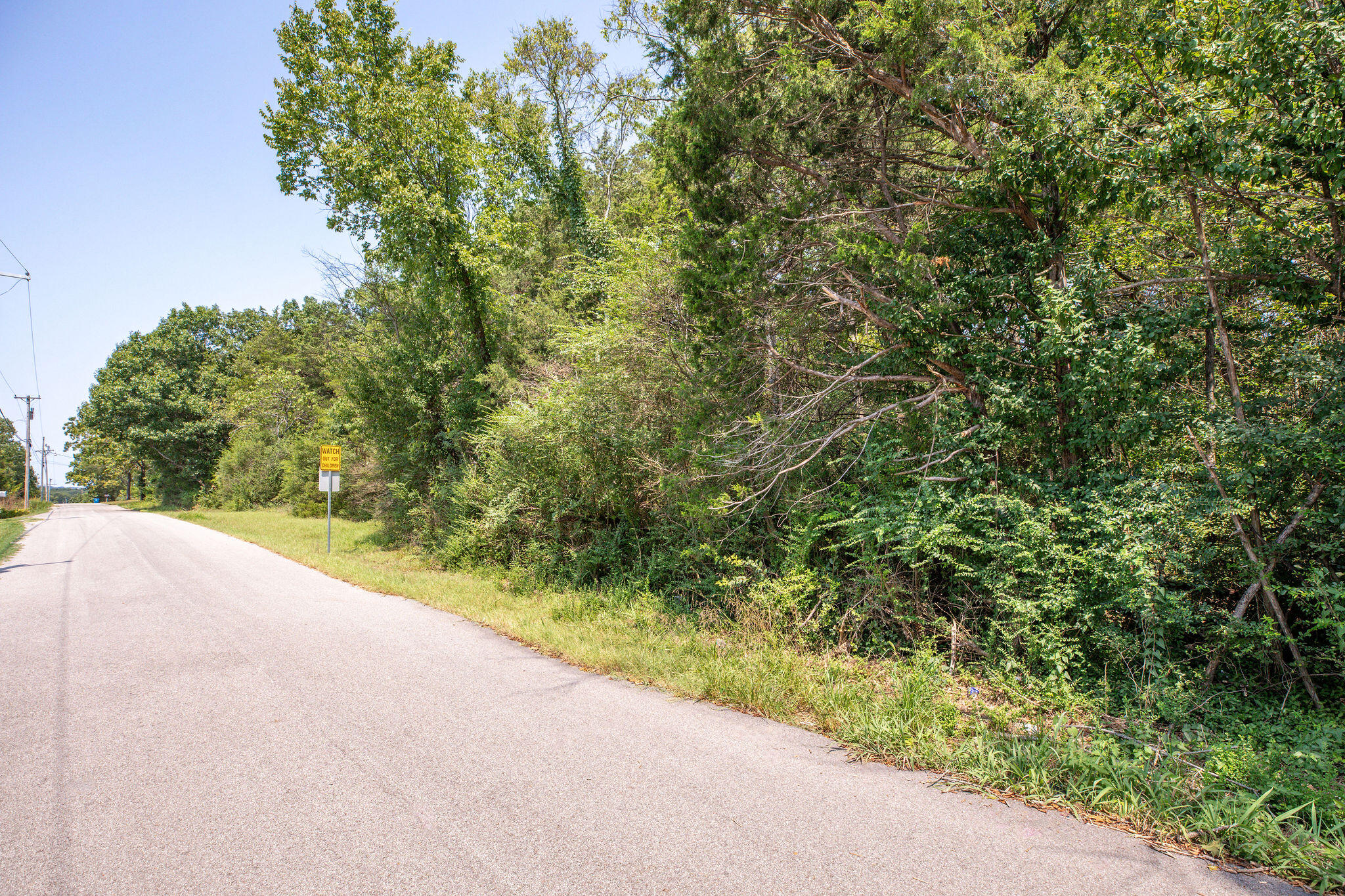 Photo 3 - Land for sale – 000  Kays Lane  Hollister, MO
