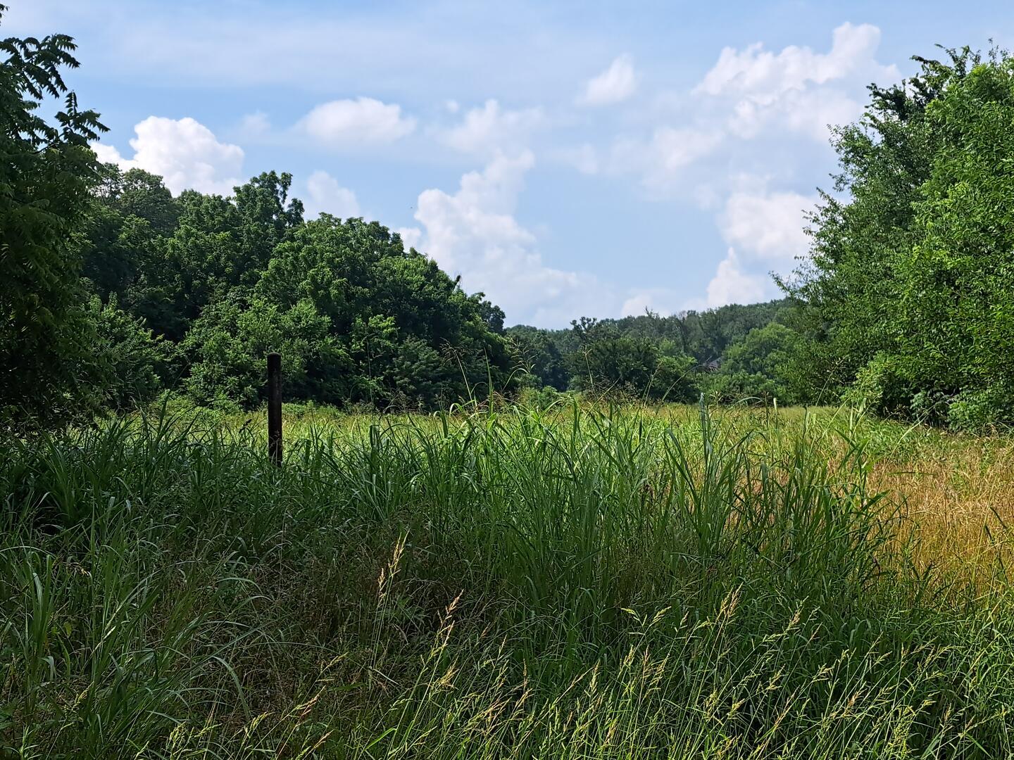 Land for sale – 000 Little Mill Road Granby, MO