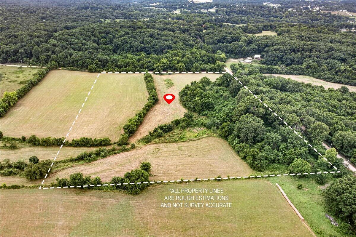 Photo 7 - Land for sale – 000  Little Mill Road  Granby, MO