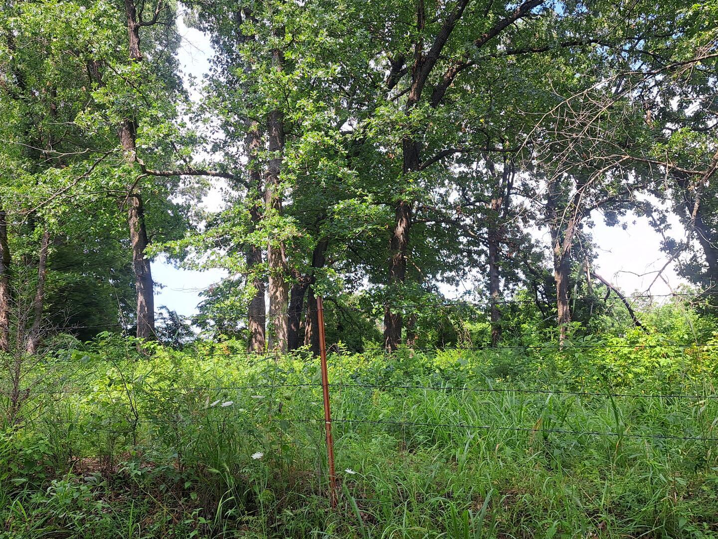 Photo 3 - Land for sale – 000  Little Mill Road  Granby, MO