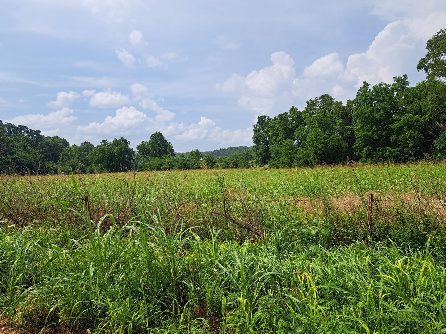 Land for sale – 000  Reindeer Road  Granby, MO