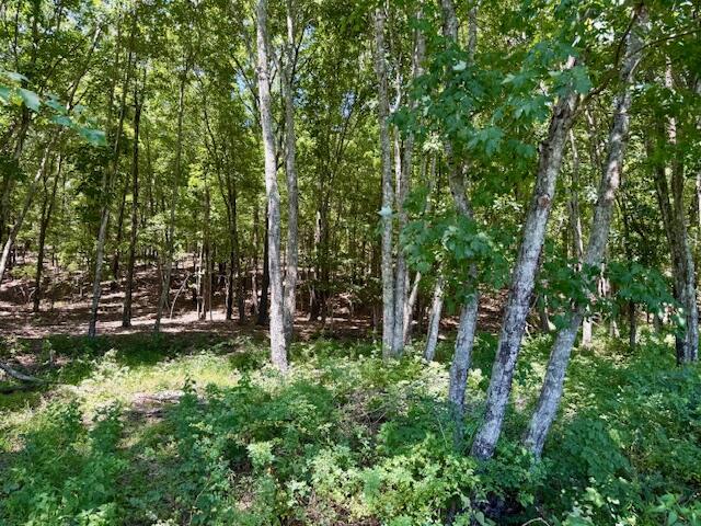 Photo 57 - Residential for sale – 6793  County Road 3400   Mountain View, MO