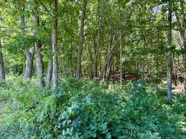 Photo 64 - Residential for sale – 6793  County Road 3400   Mountain View, MO