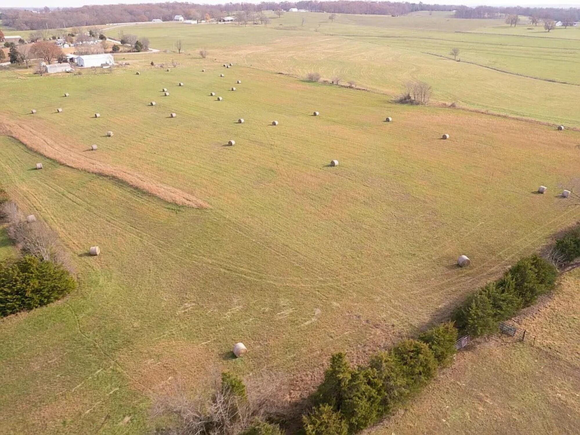 Photo 8 - Land for sale – 239  Ozark Loop   Conway, MO
