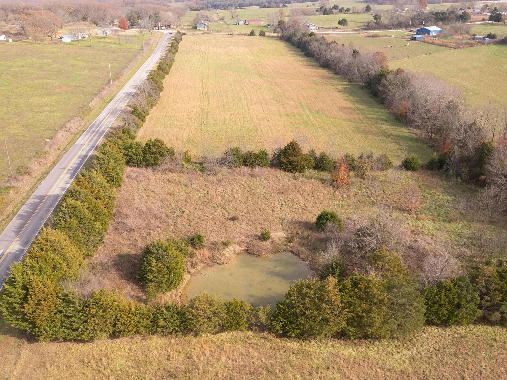 Photo 11 - Land for sale – 239  Ozark Loop   Conway, MO
