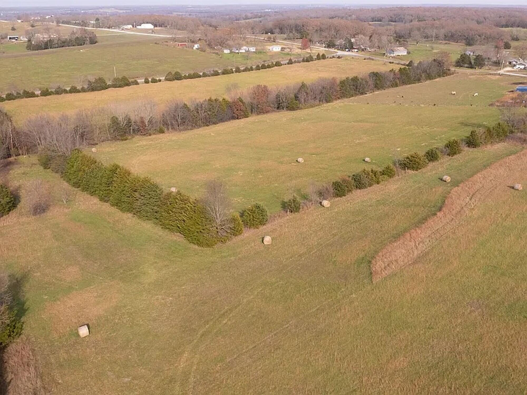 Photo 9 - Land for sale – 239  Ozark Loop   Conway, MO