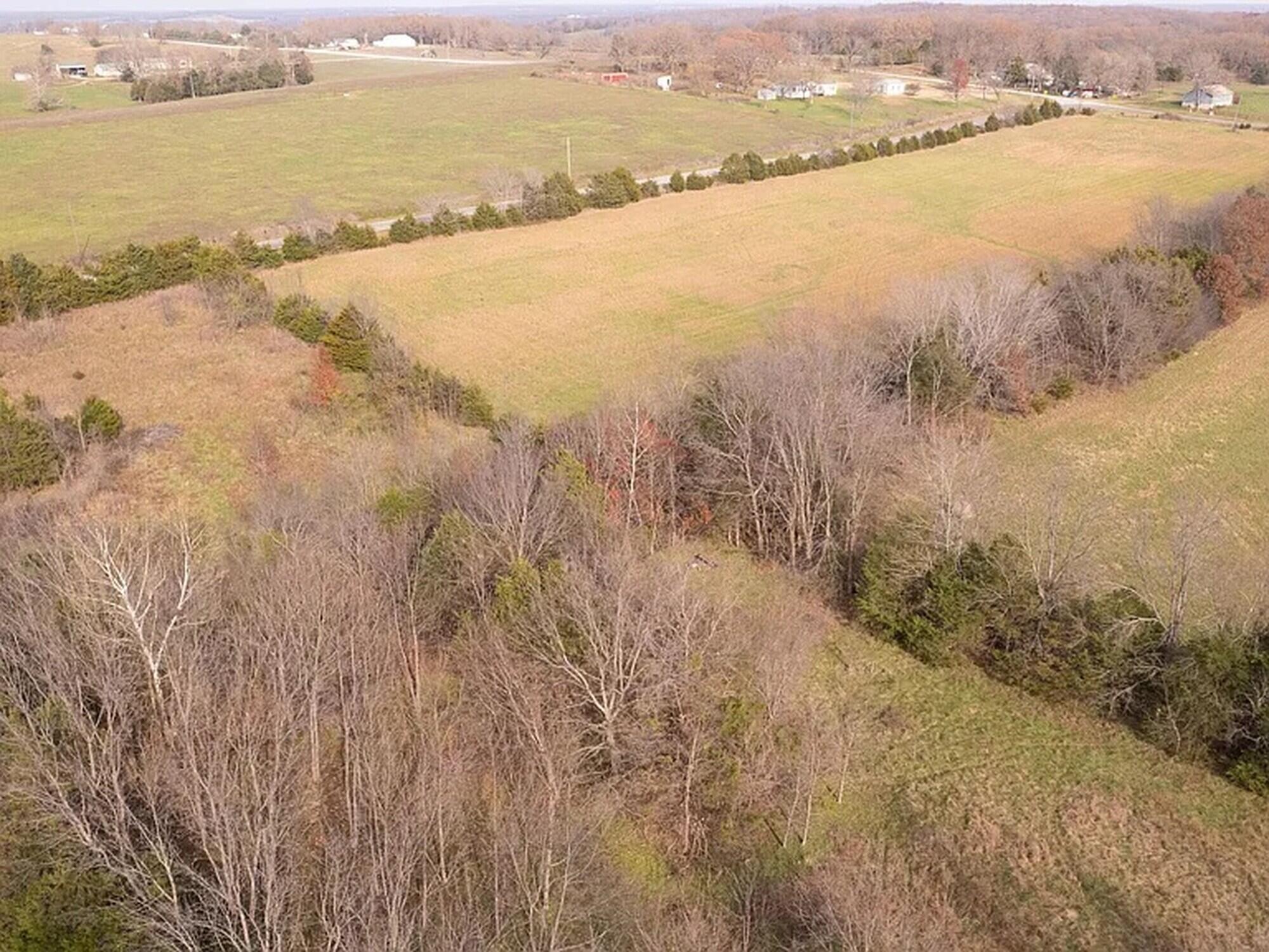 Photo 7 - Land for sale – 239  Ozark Loop   Conway, MO