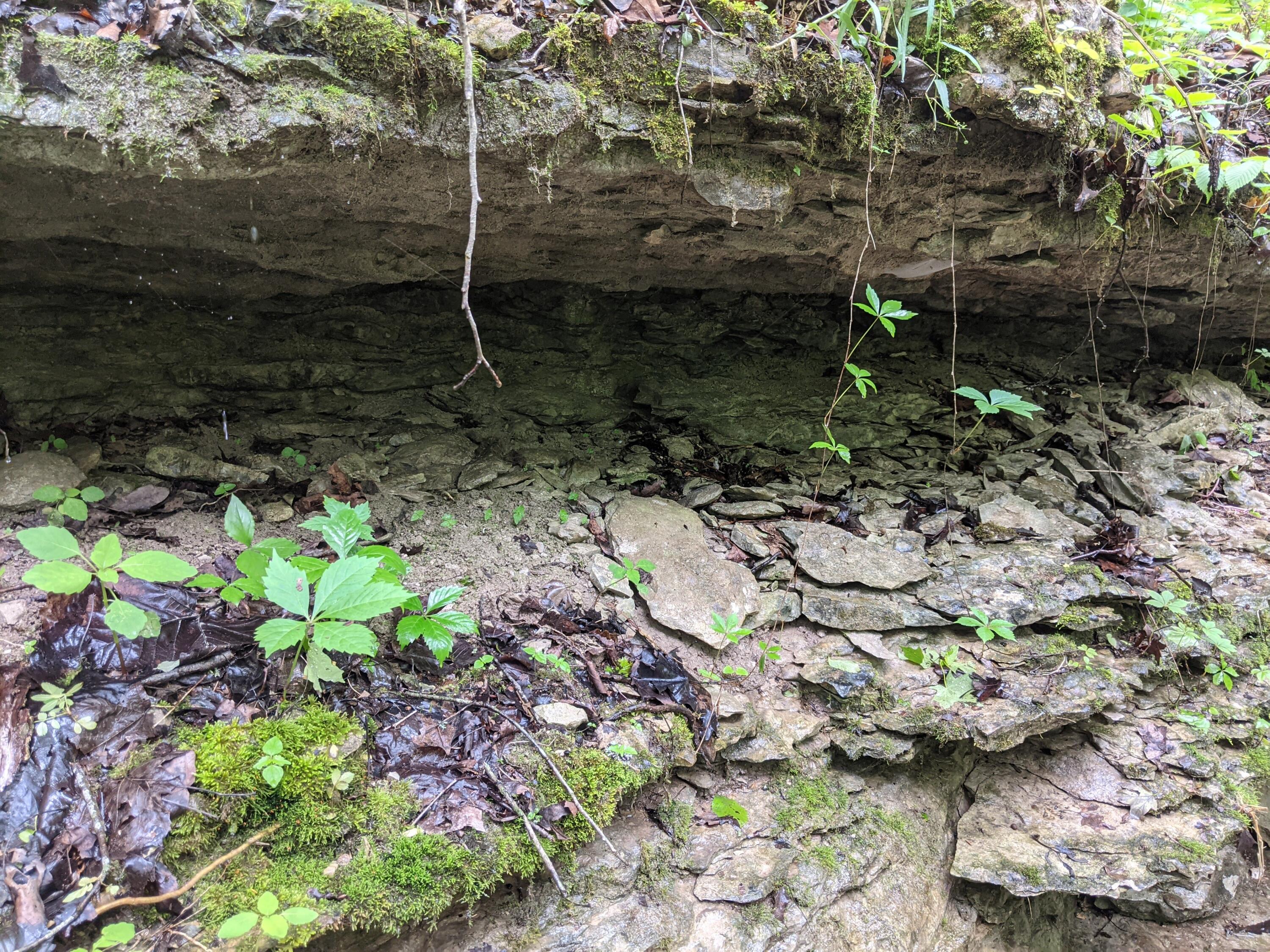 Photo 22 - Land for sale – 000  Coyote Ridge Road   Cassville, MO