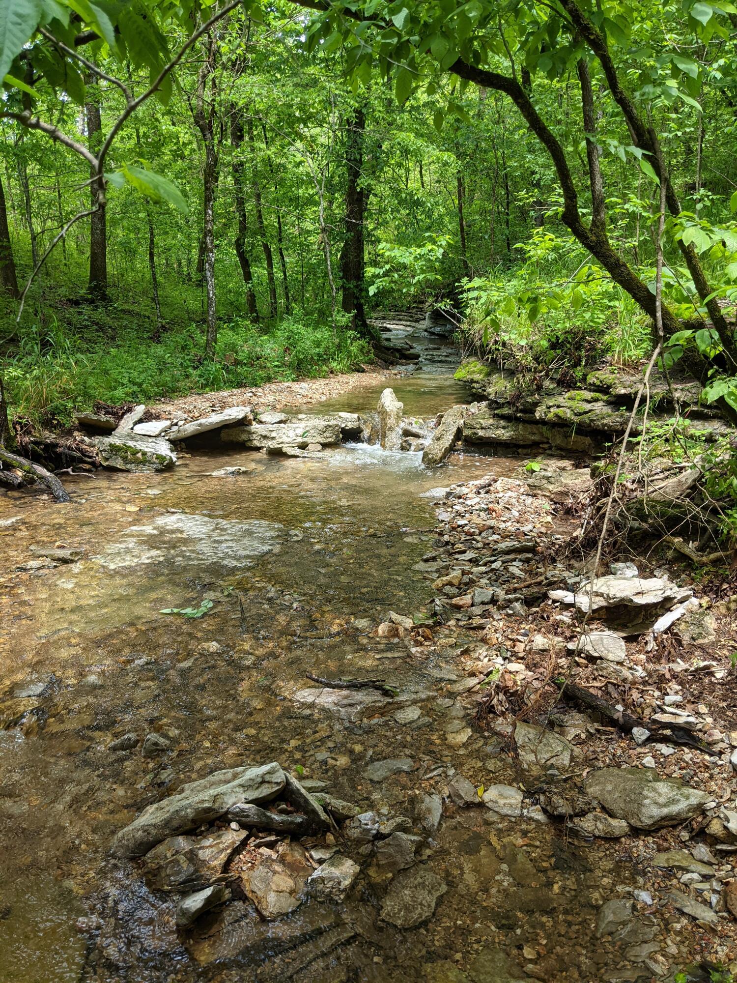 Photo 35 - Land for sale – 000  Coyote Ridge Road   Cassville, MO