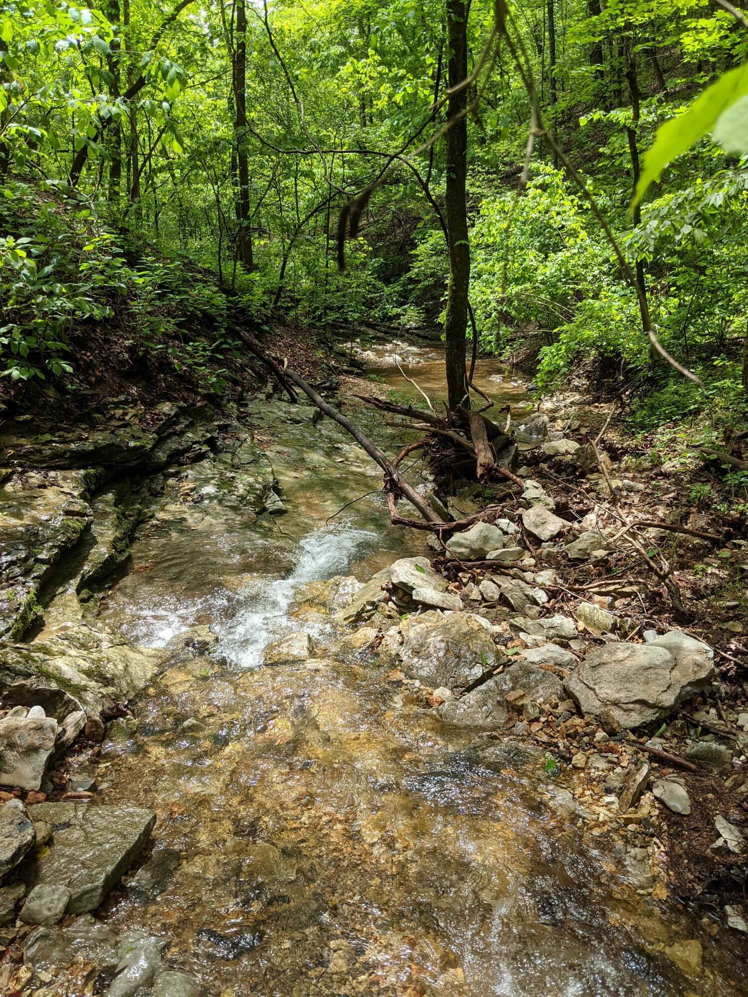Photo 9 - Land for sale – 000  Coyote Ridge Road   Cassville, MO