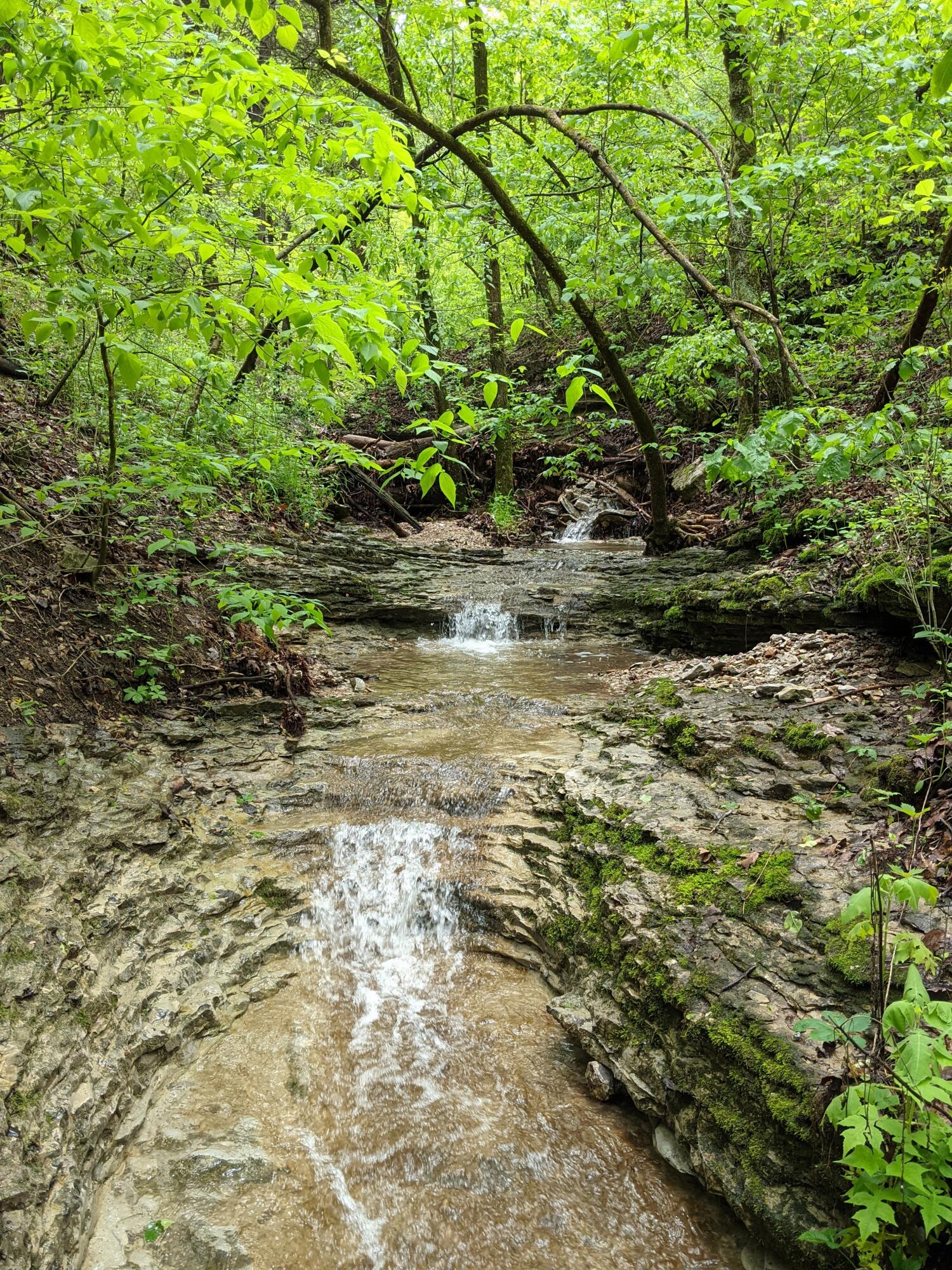 Photo 16 - Land for sale – 000  Coyote Ridge Road   Cassville, MO