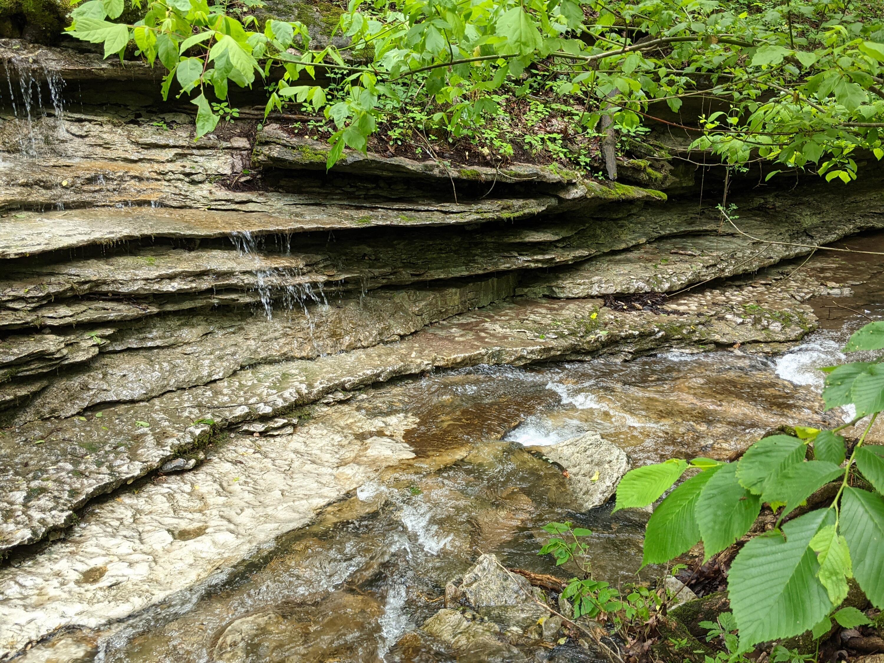 Photo 31 - Land for sale – 000  Coyote Ridge Road   Cassville, MO