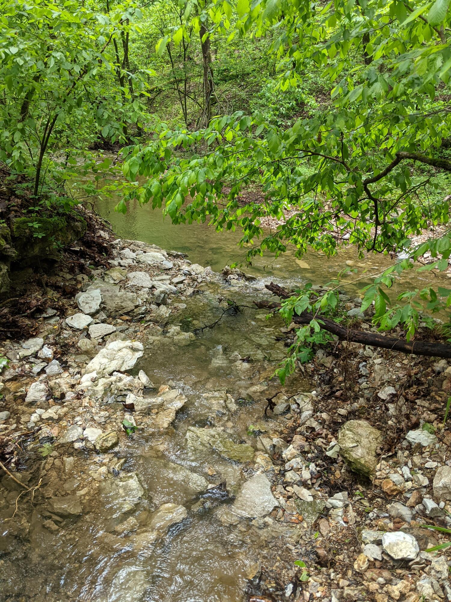 Photo 15 - Land for sale – 000  Coyote Ridge Road   Cassville, MO