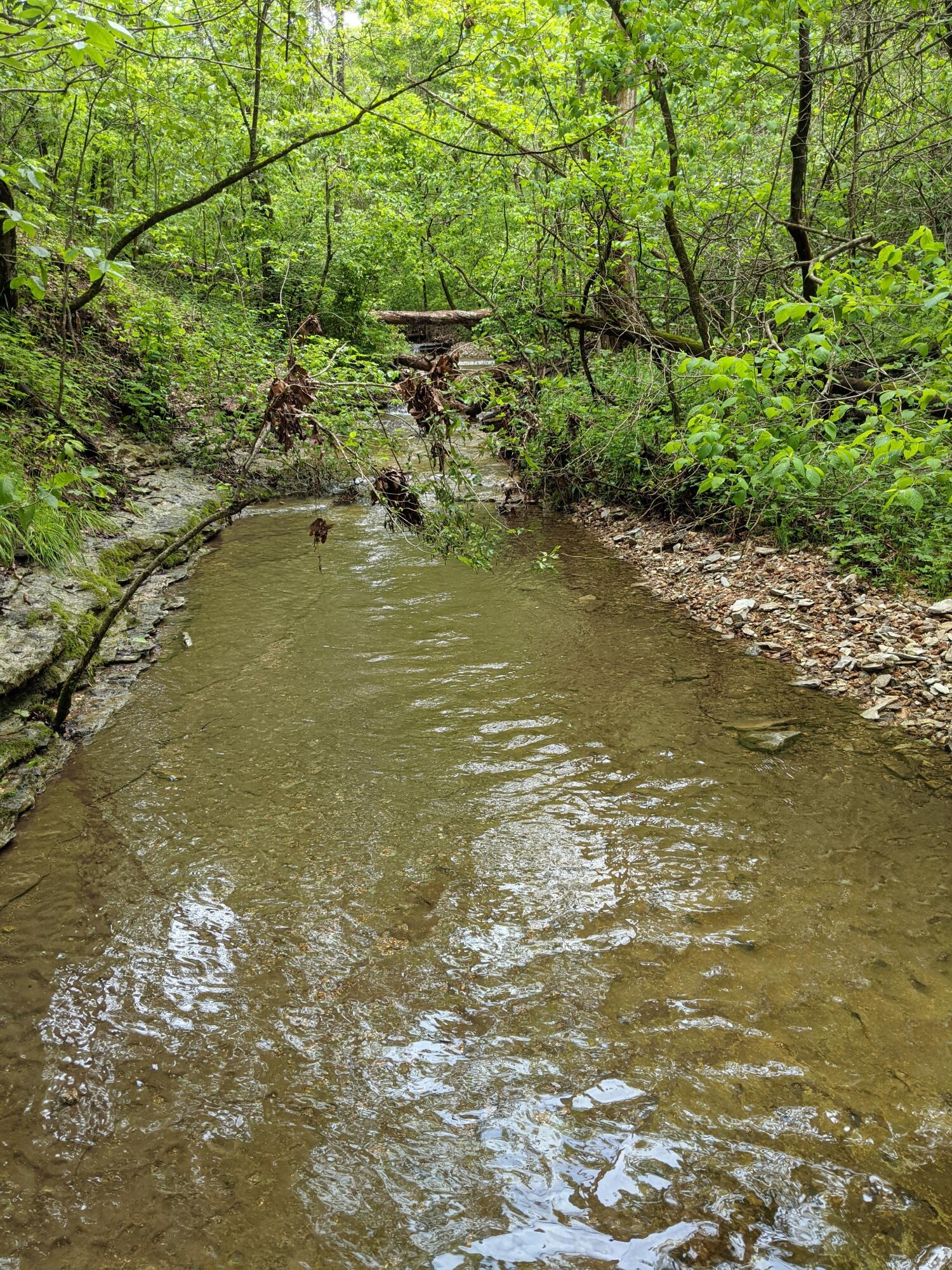 Photo 28 - Land for sale – 000  Coyote Ridge Road   Cassville, MO