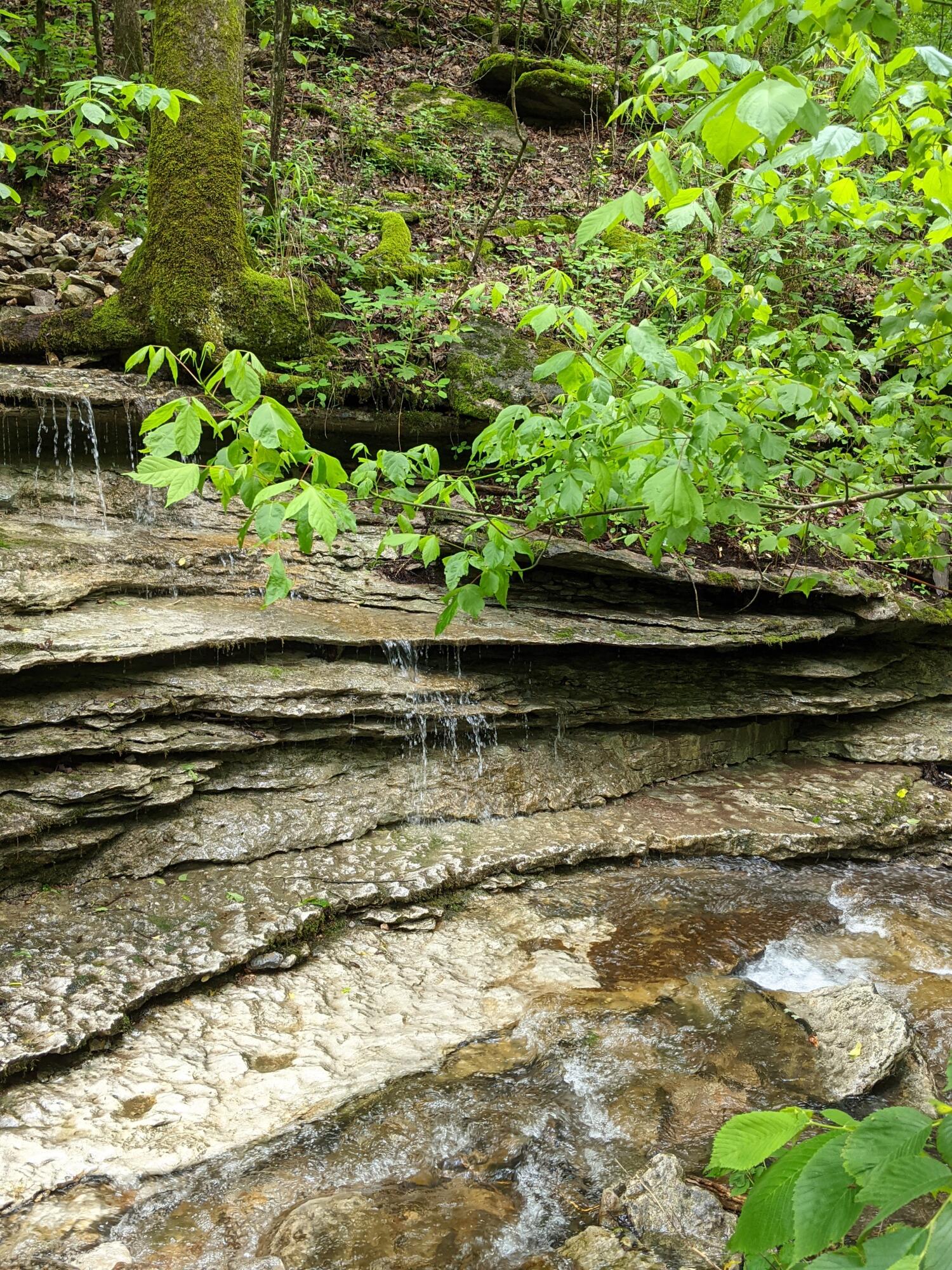 Photo 33 - Land for sale – 000  Coyote Ridge Road   Cassville, MO