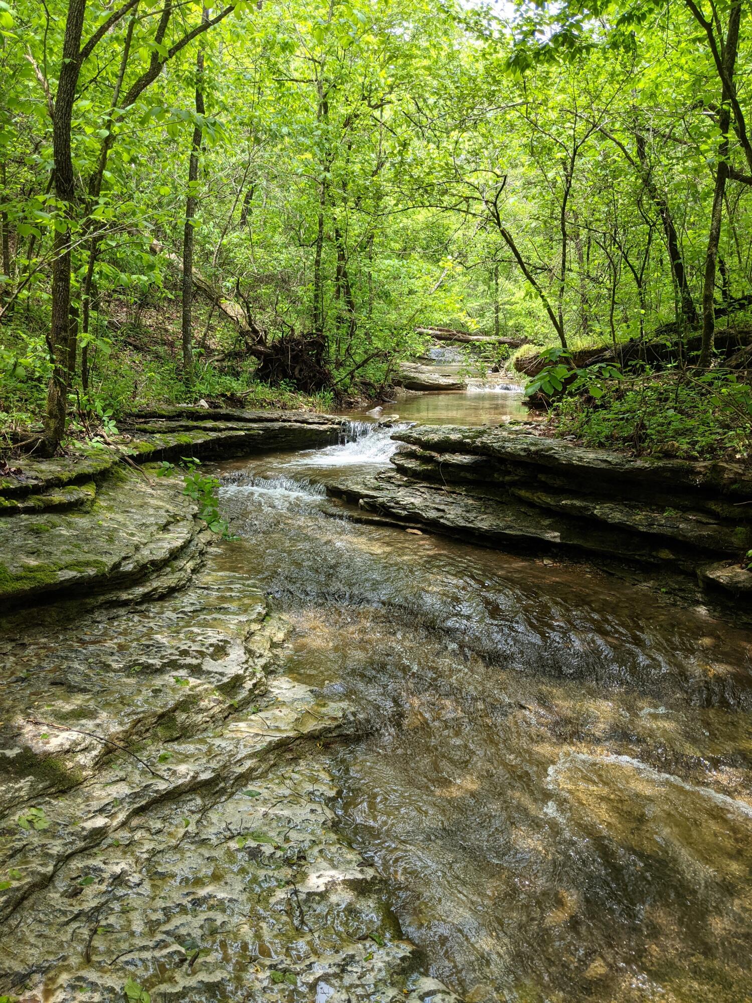 Photo 30 - Land for sale – 000  Coyote Ridge Road   Cassville, MO