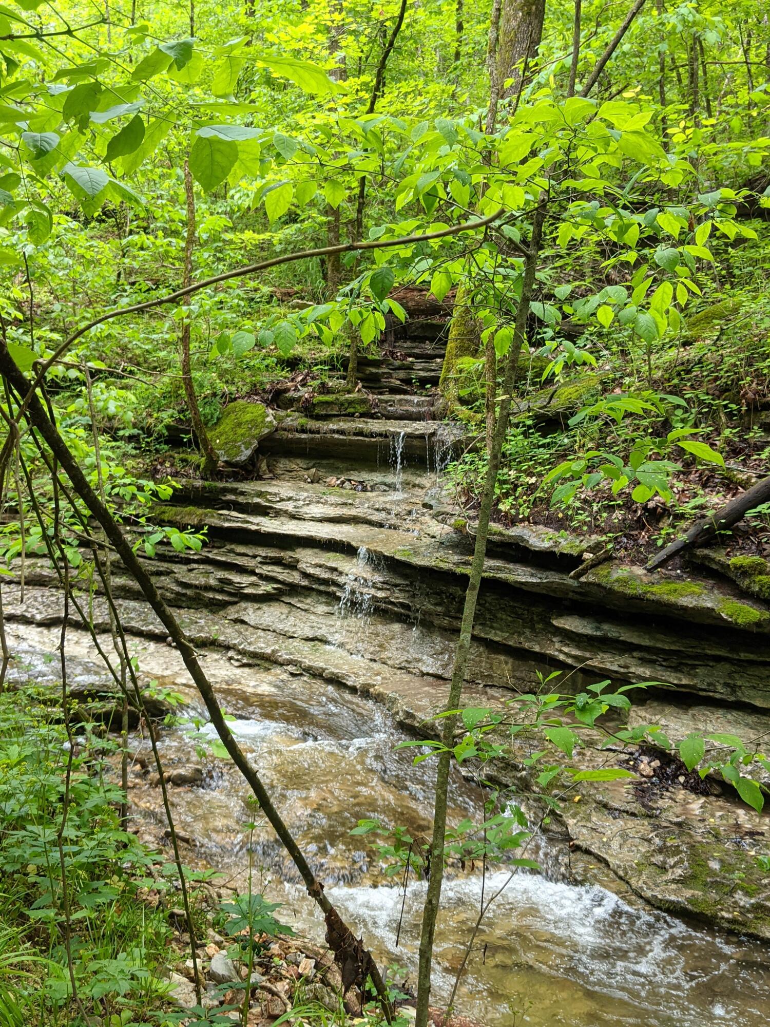 Photo 34 - Land for sale – 000  Coyote Ridge Road   Cassville, MO
