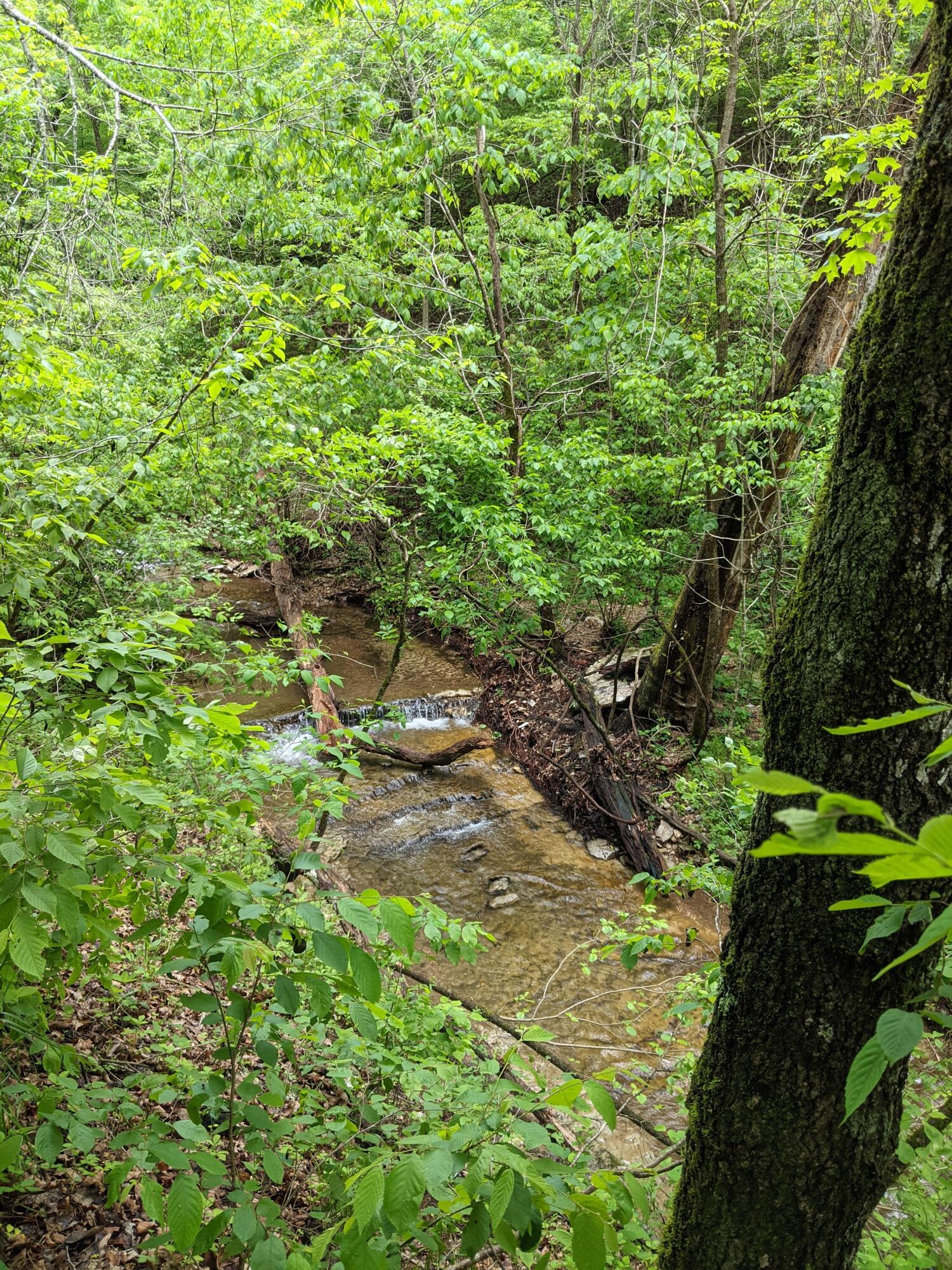 Photo 26 - Land for sale – 000  Coyote Ridge Road   Cassville, MO