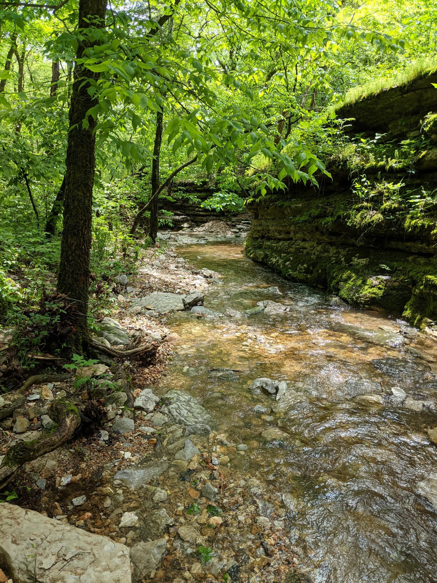 Photo 2 - Land for sale – 000  Coyote Ridge Road   Cassville, MO