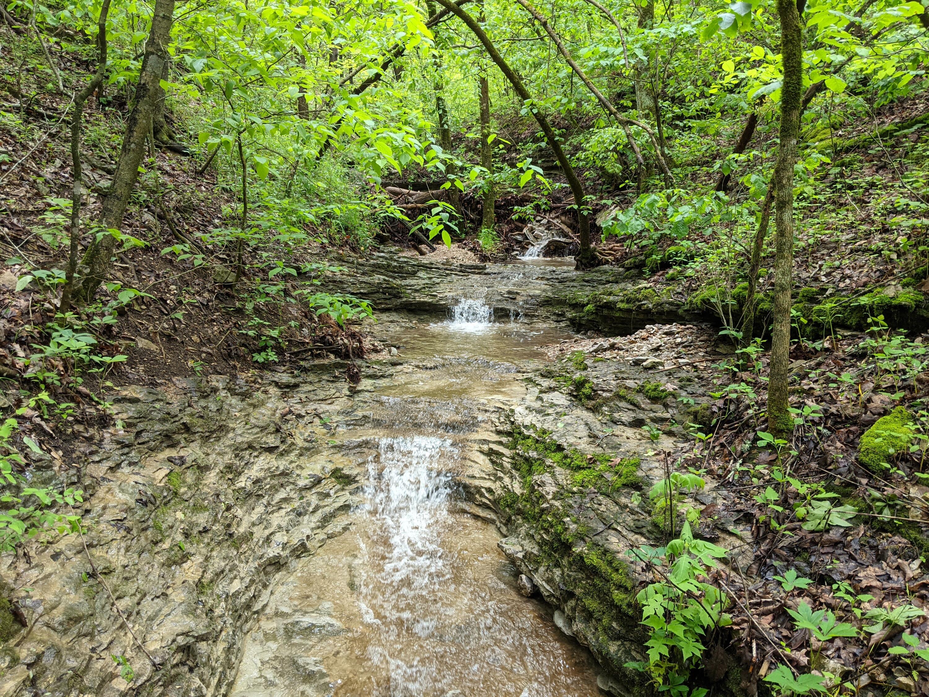 Photo 20 - Land for sale – 000  Coyote Ridge Road   Cassville, MO