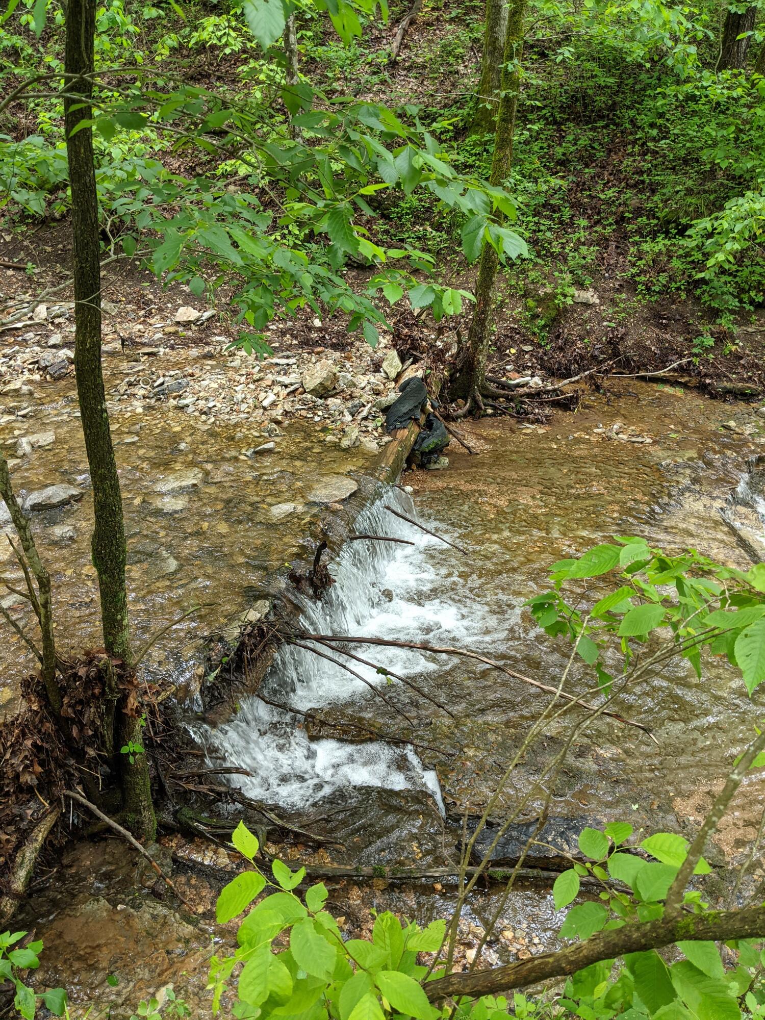 Photo 25 - Land for sale – 000  Coyote Ridge Road   Cassville, MO