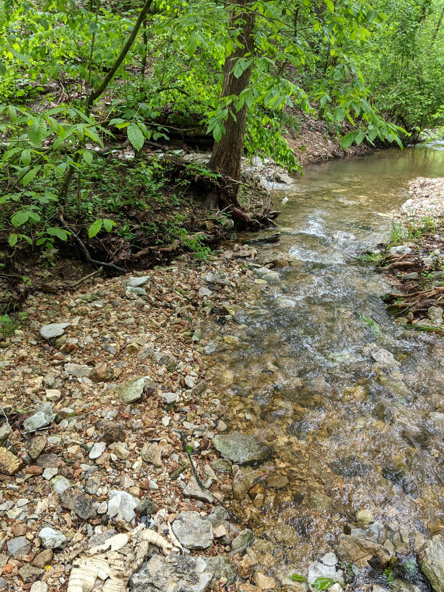 Photo 14 - Land for sale – 000  Coyote Ridge Road   Cassville, MO